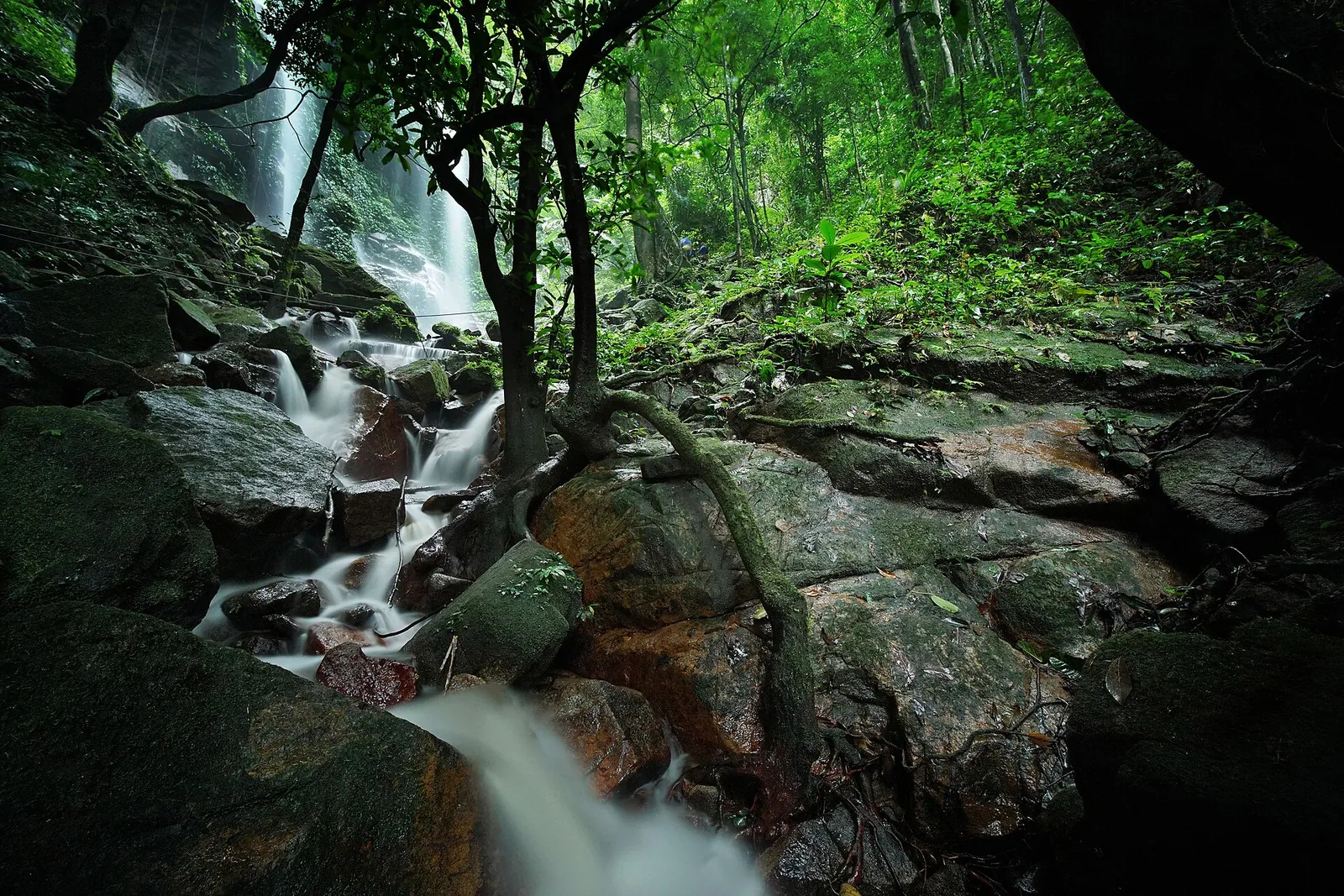 Water flowing over rocks beneath trees at Kooi waterfall