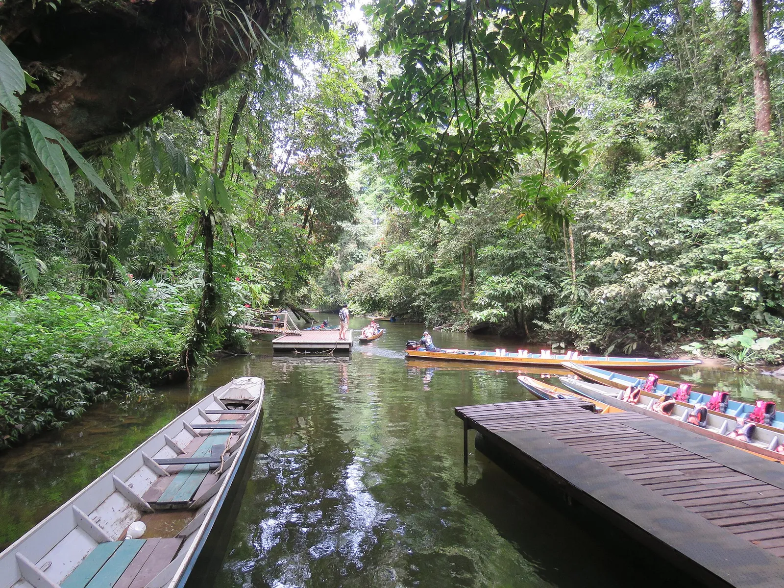 Boat landing and forest stream at Clearwater Cave in Gunung Mulu National Park