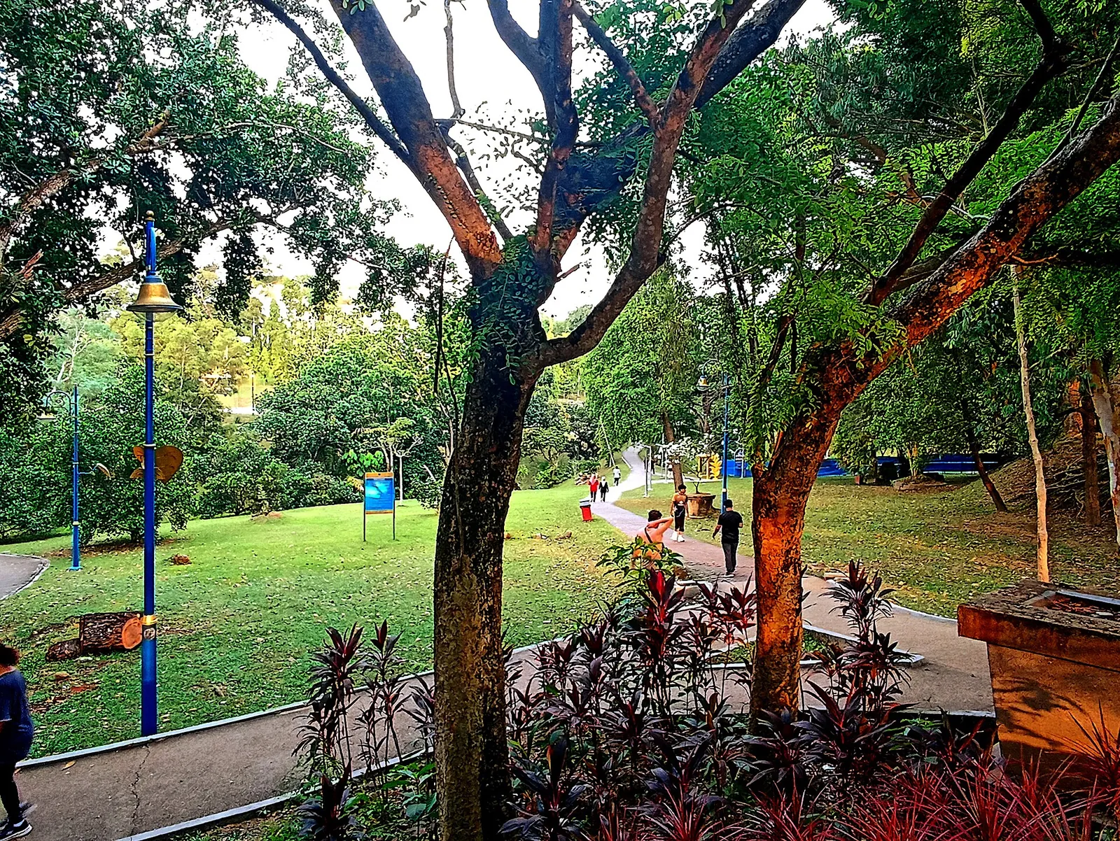 Shaded grassy recreation area and mature trees at Seremban Lake Gardens
