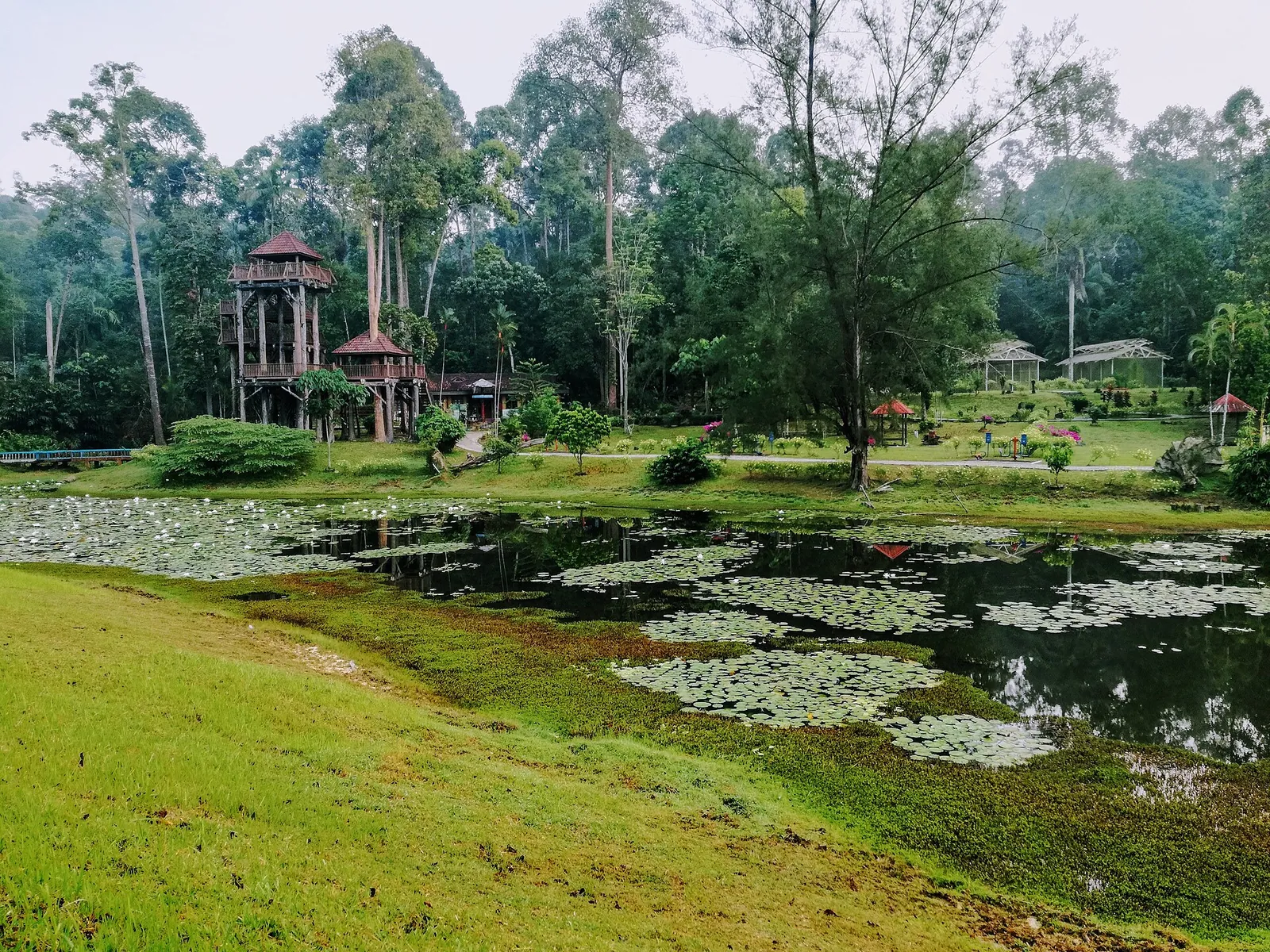 Lake and viewing tower in the National Botanic Gardens at Shah Alam