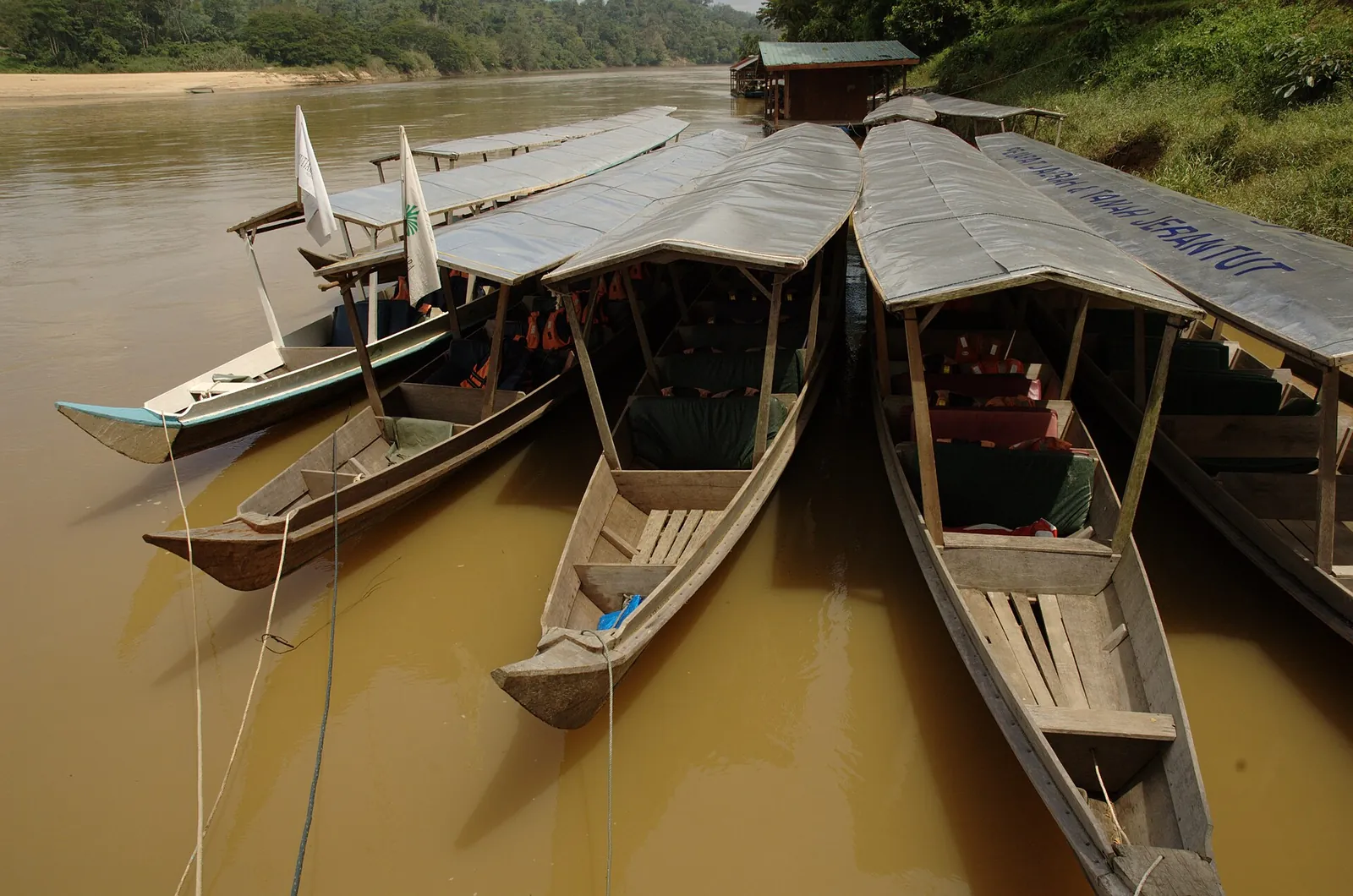 Covered wooden boats at Kuala Tahan on the river