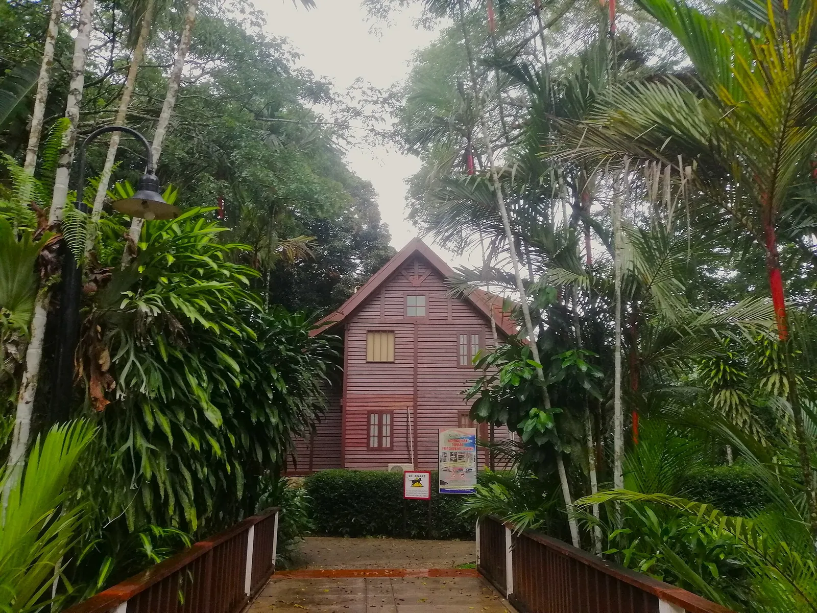 Wooden chalet surrounded by greenery at Mutiara Taman Negara