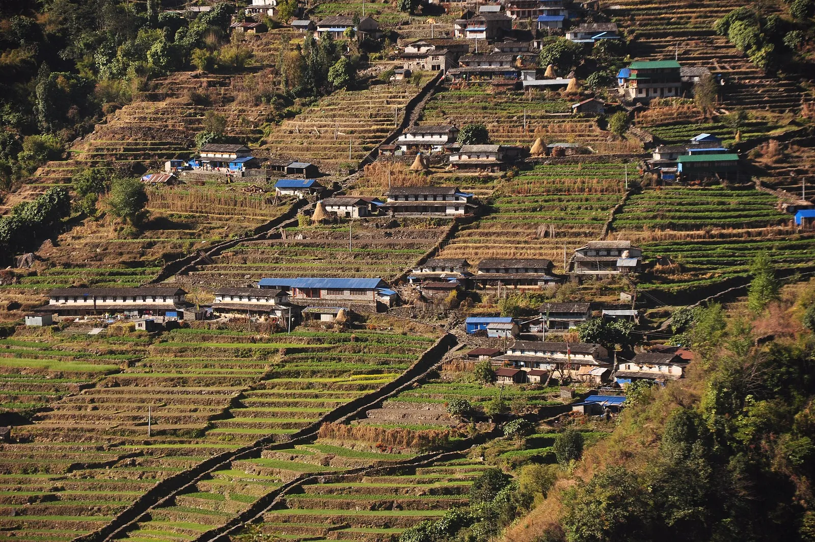 Campos en terrazas y alojamientos y casas dispersos en una empinada ladera sobre el valle de un río