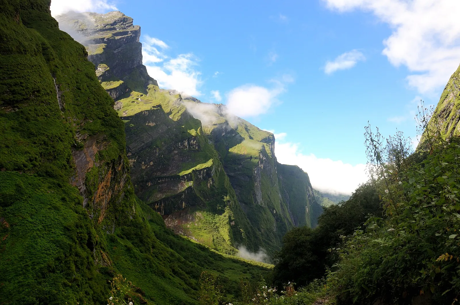 Garganta verde de paredes escarpadas y cielo azul en el sendero hacia el campo base del Machhapuchhre