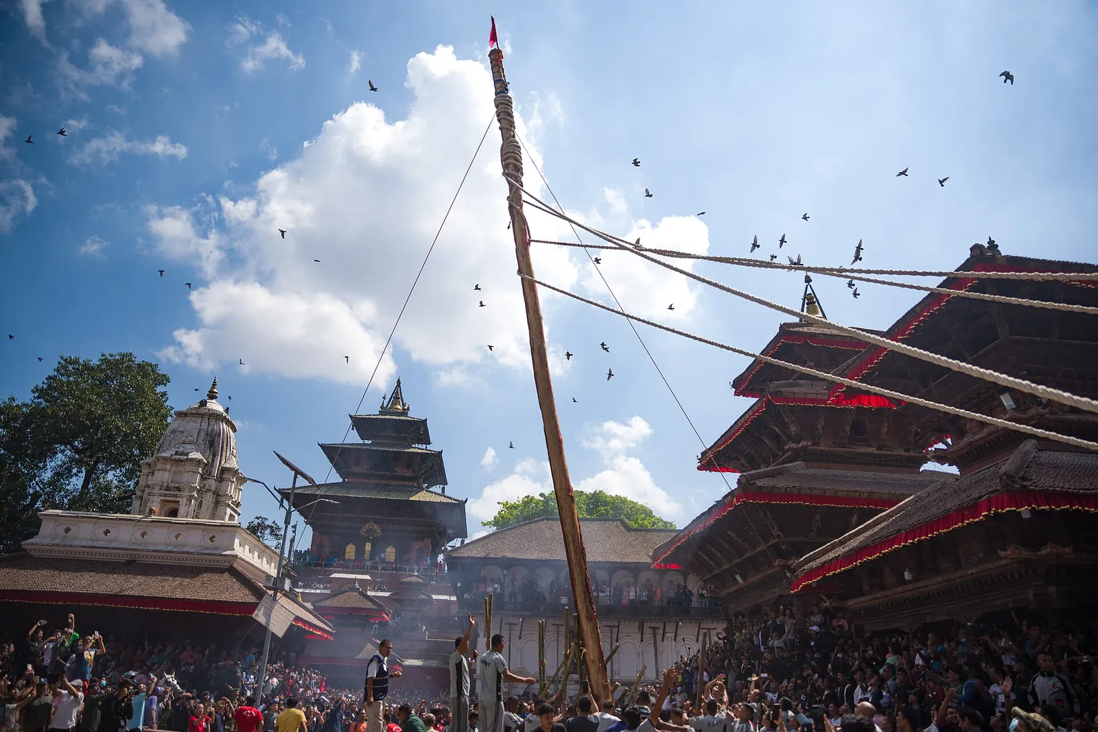 El poste ceremonial izado en la plaza Durbar de Katmandú al inicio de Indra Jatra, con templos pagoda y multitudes