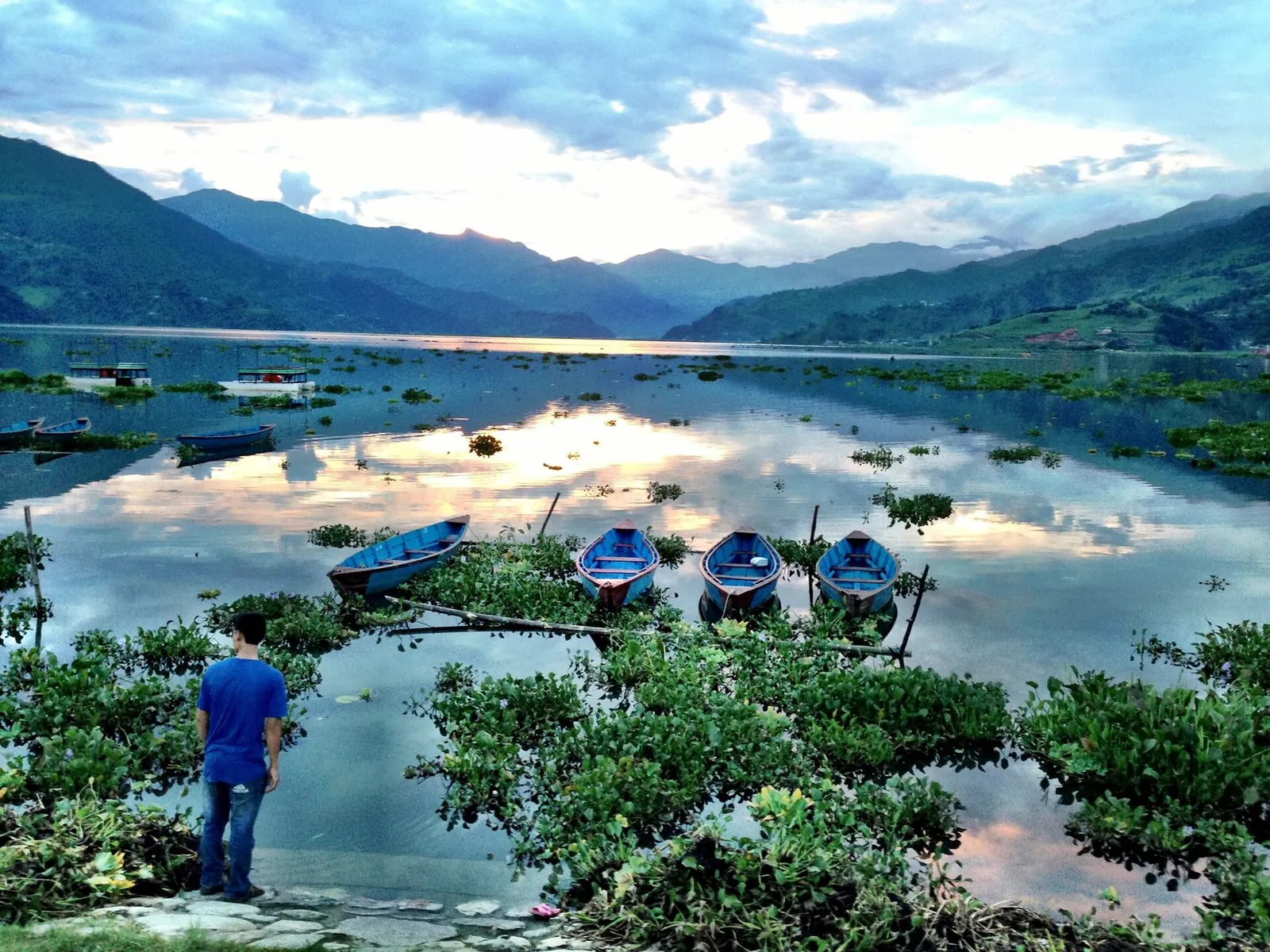 Phewasjøen ved Lakeside i Pokhara, med små båter fortøyd blant vannplanter og åser bak