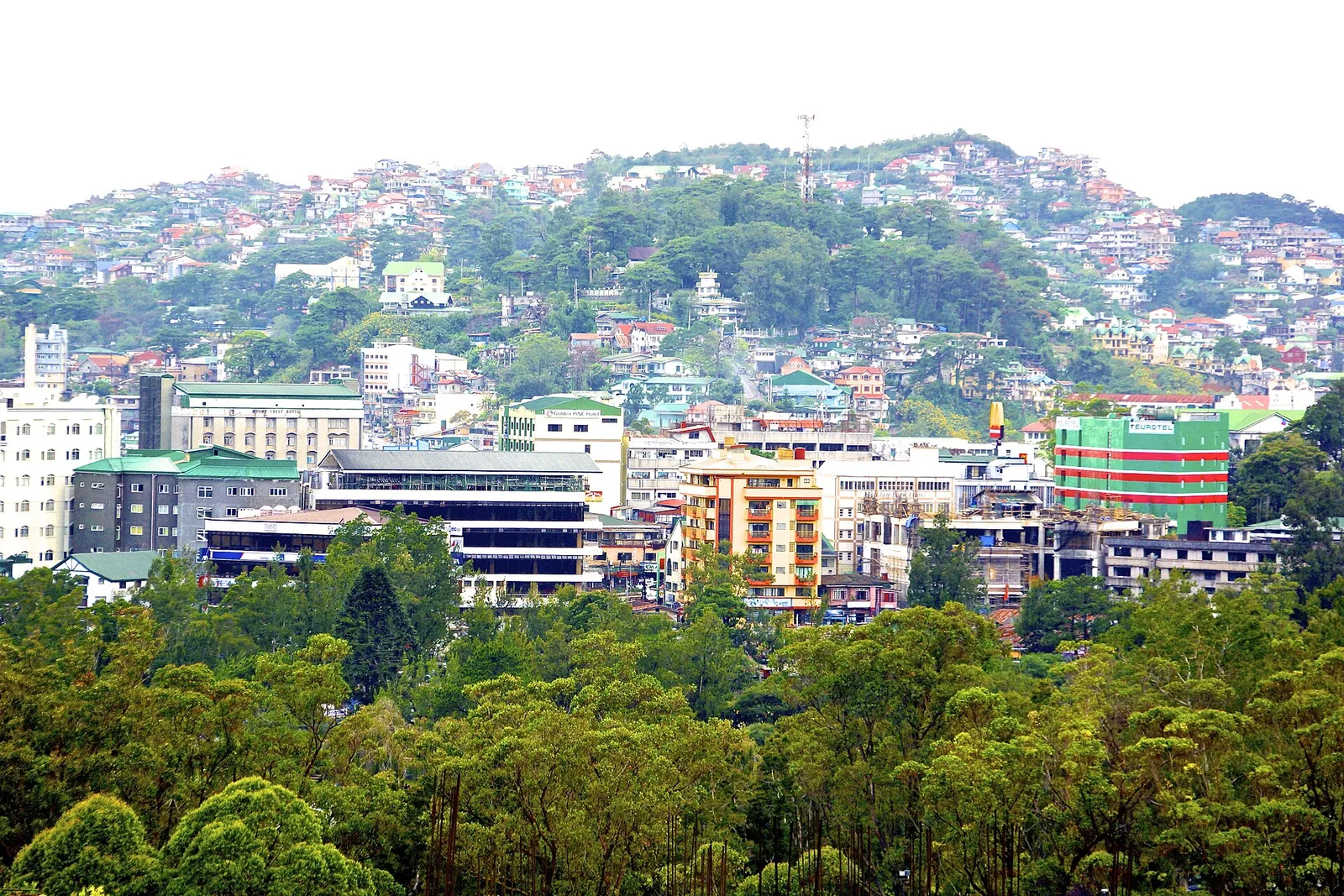 Baguio buildings spread over a green hillside beyond foreground trees