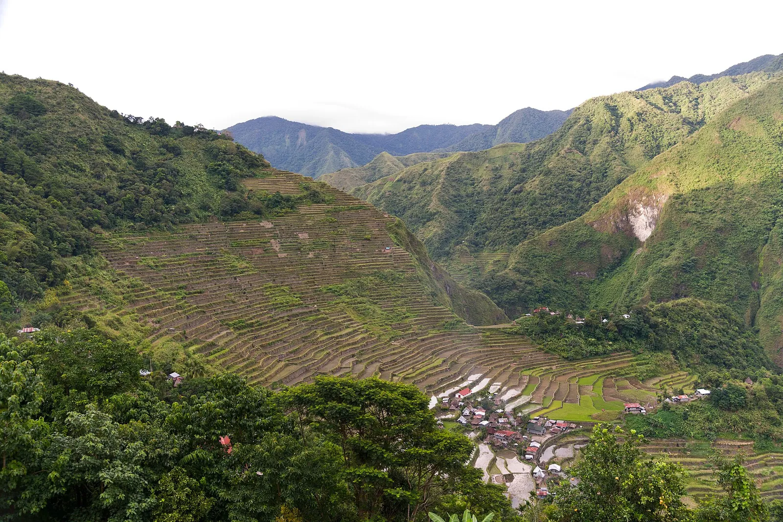 Wide mountain valley filled with rice terraces at Batad