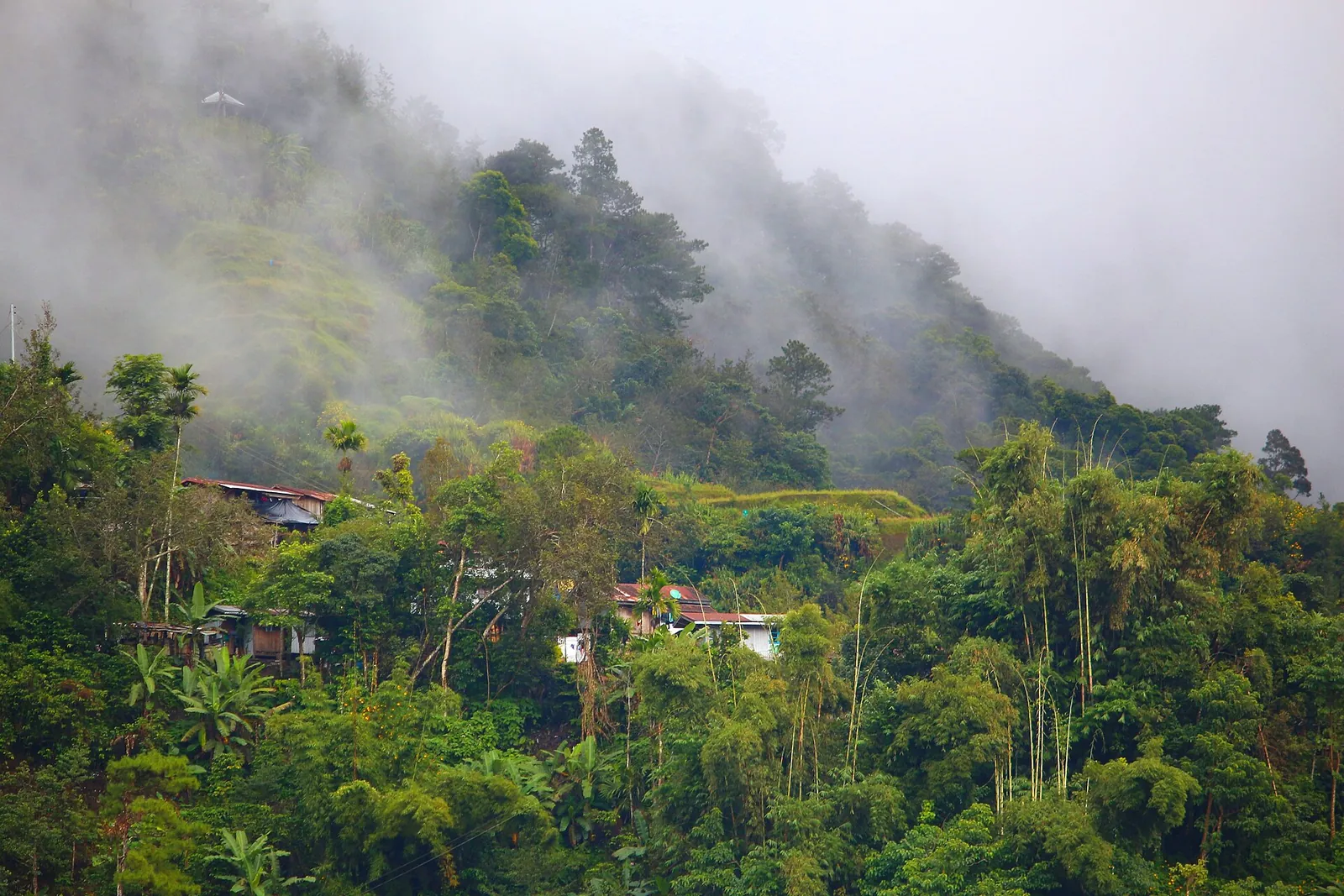 Misty forested mountains beside Banaue in Ifugao