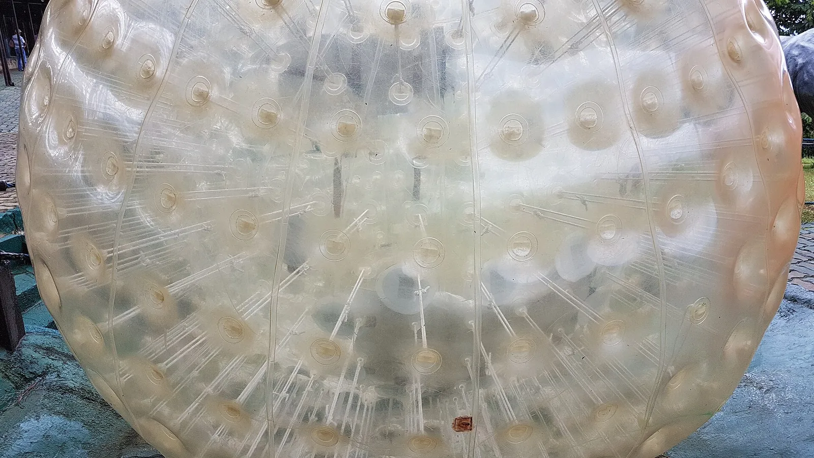Zorbing ball at Dahilayan Forest Park