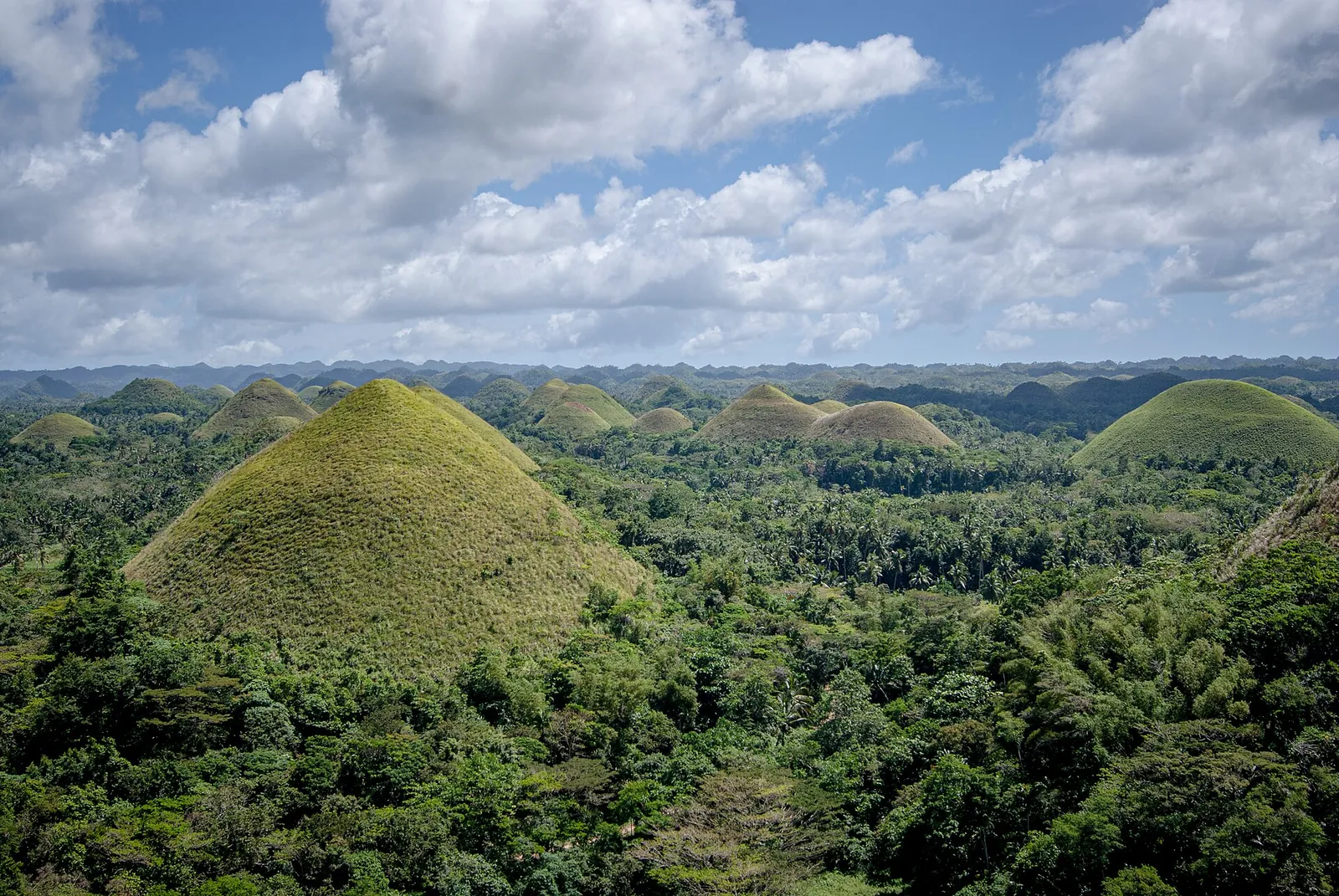 Green Chocolate Hills landscape in Bohol