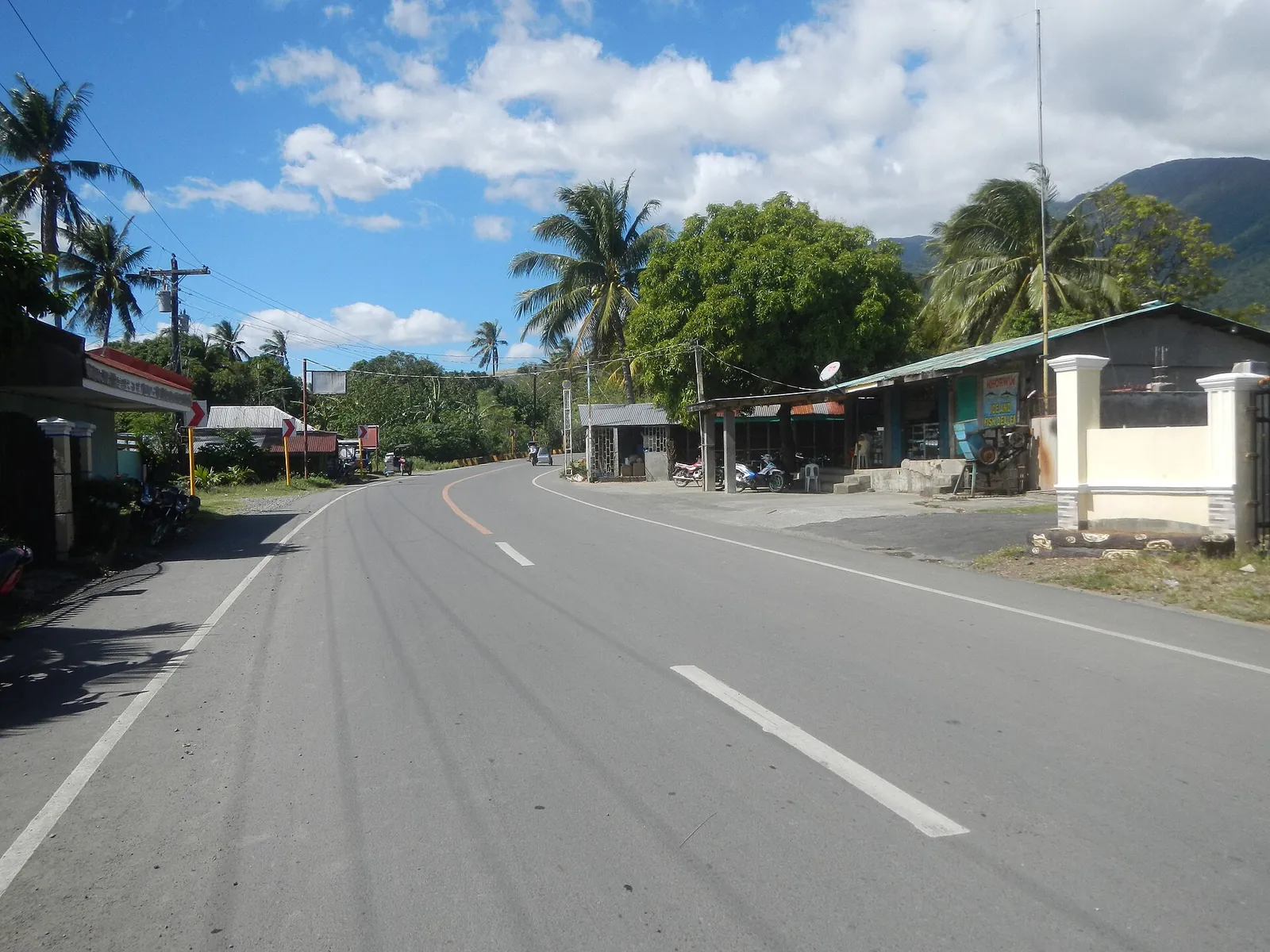 Palm-lined road in Dingalan