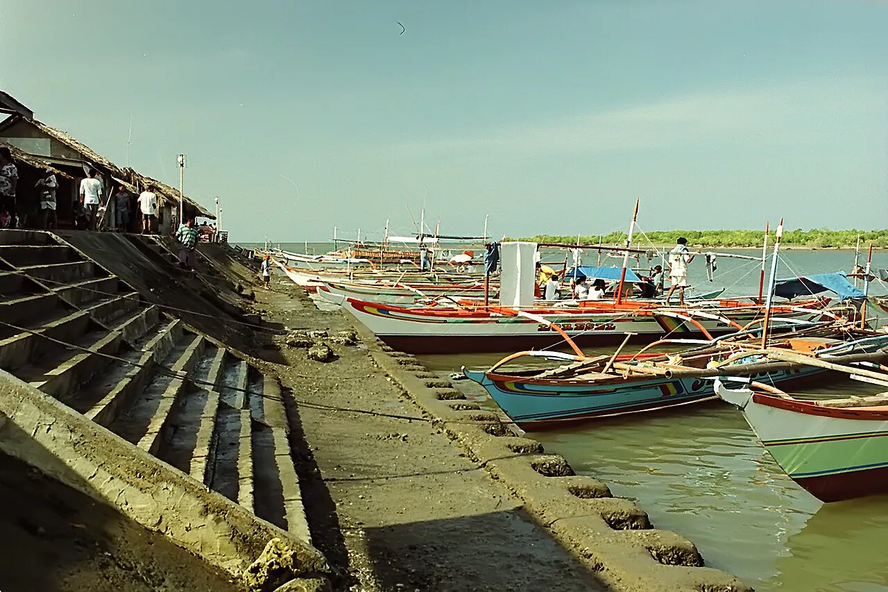 Steps and small outrigger boats beside the waterfront at Donsol