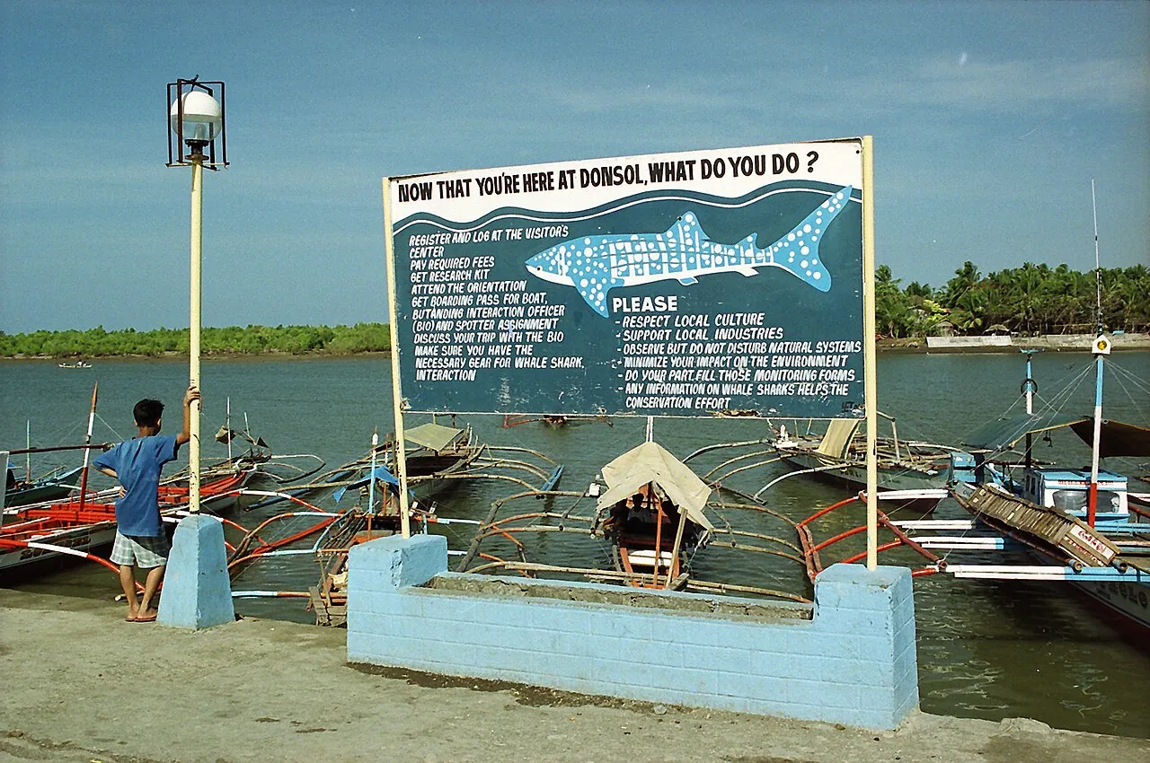 Visitor information board and boats beside the water at Donsol