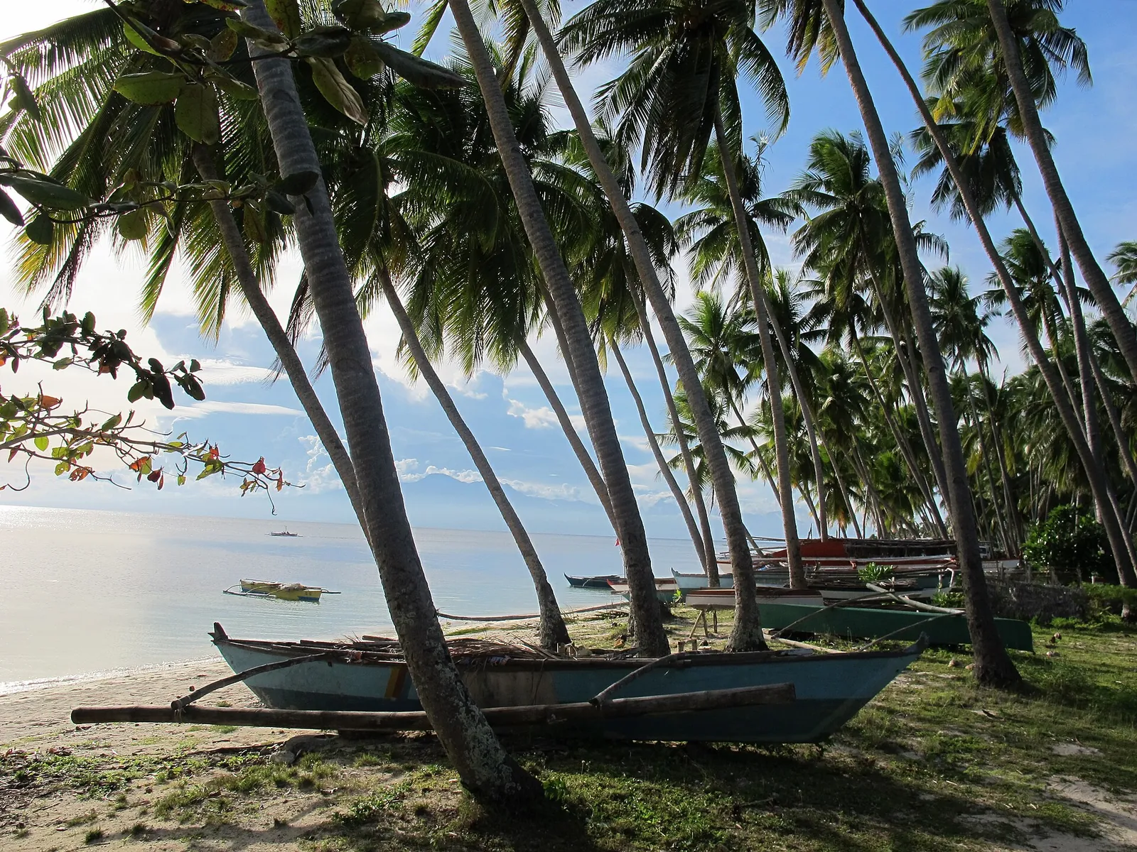 Palms and outrigger boats at Paliton Beach, Siquijor