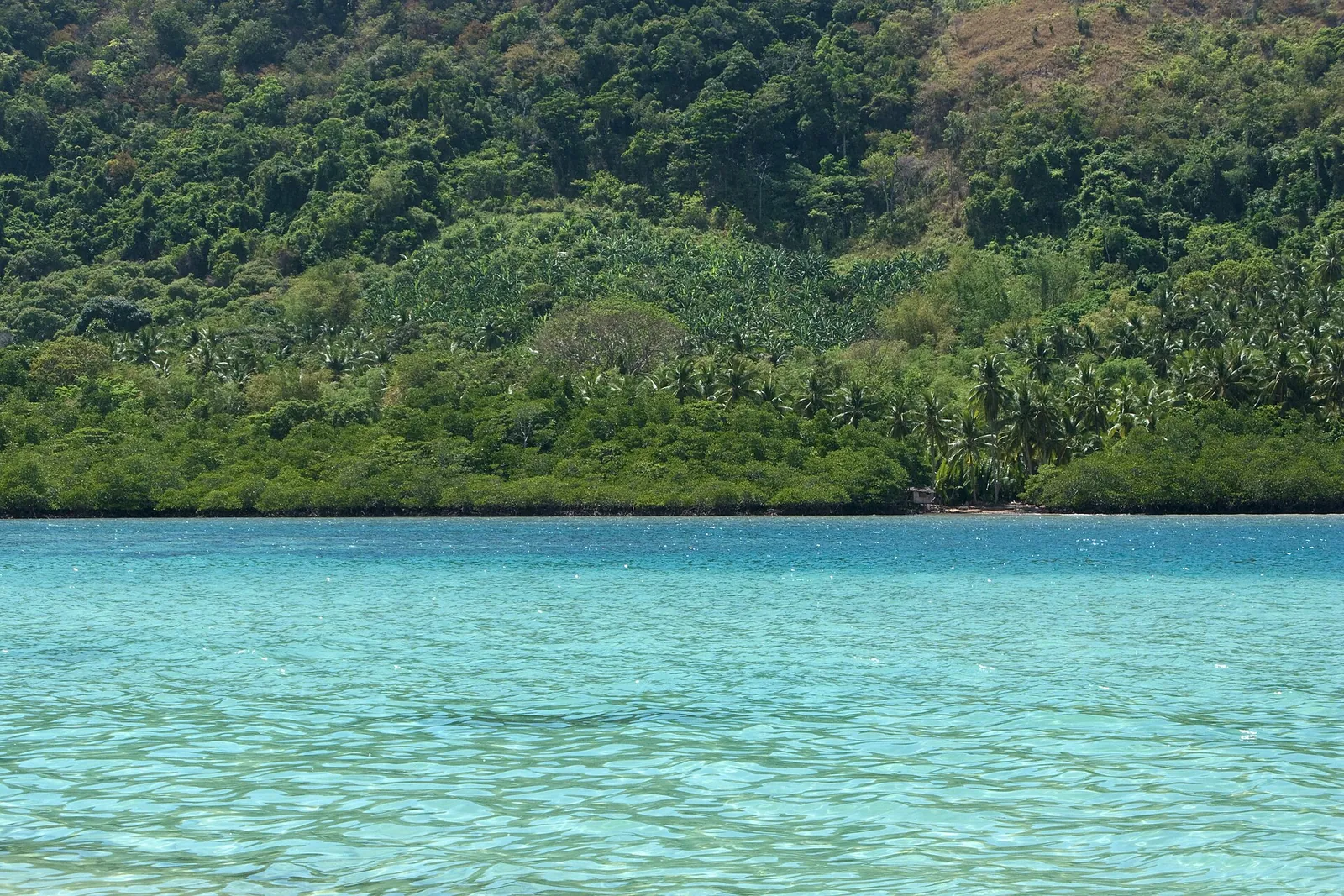 Clear water and forested coastline in El Nido Bay, Palawan