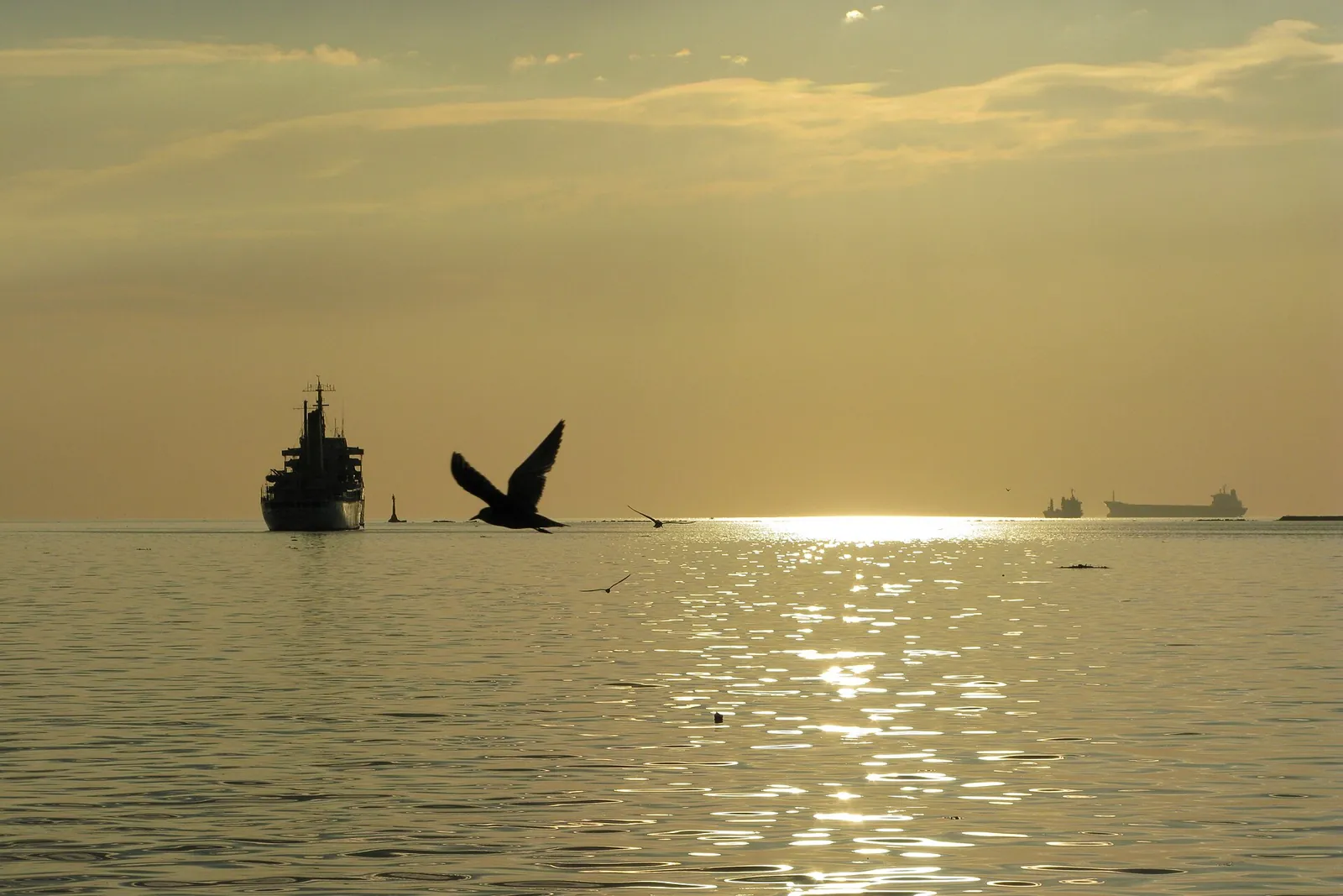 Golden evening light, a ship and birds above Manila Bay