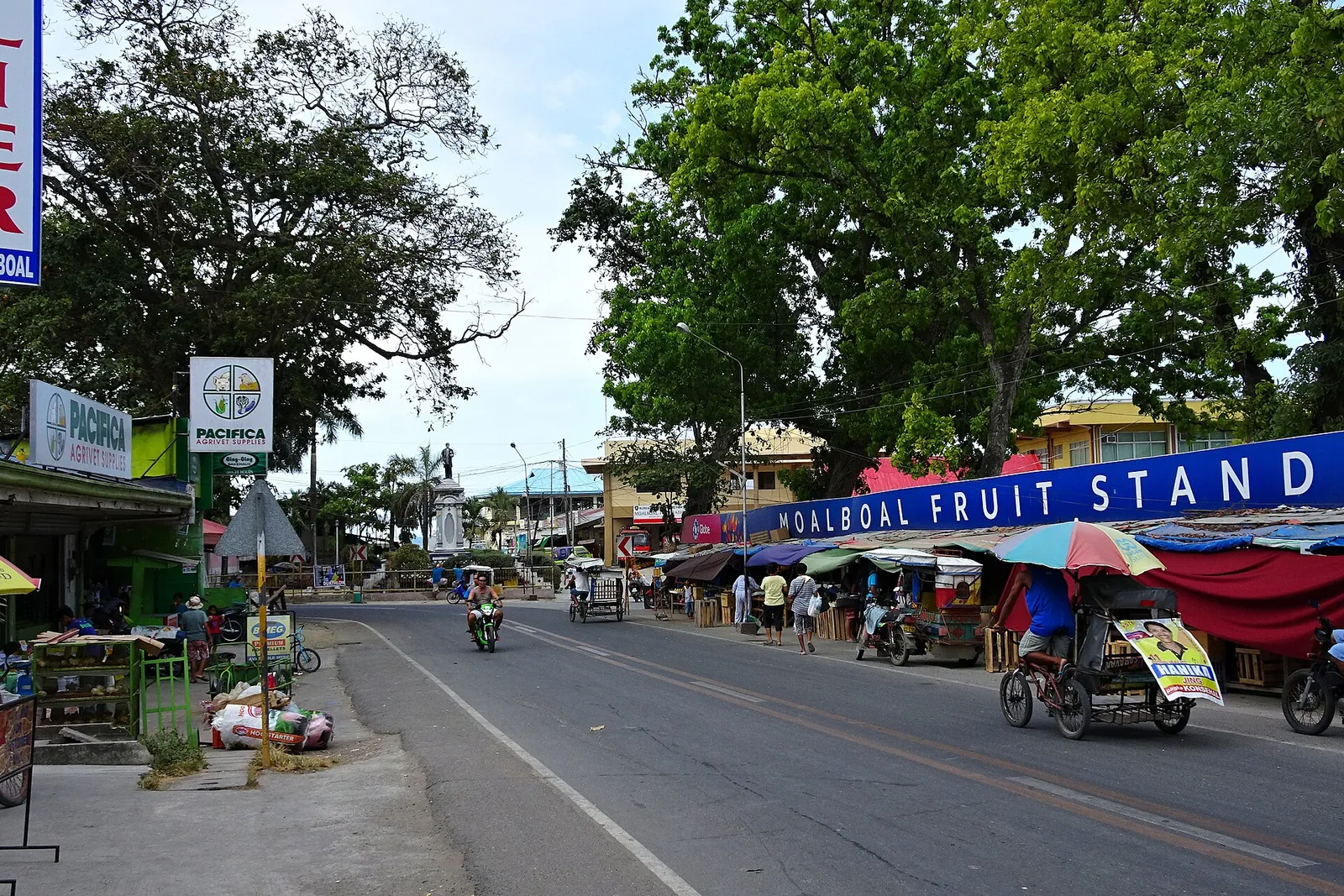 Fruit-stand frontage and tricycles beside a road in Moalboal