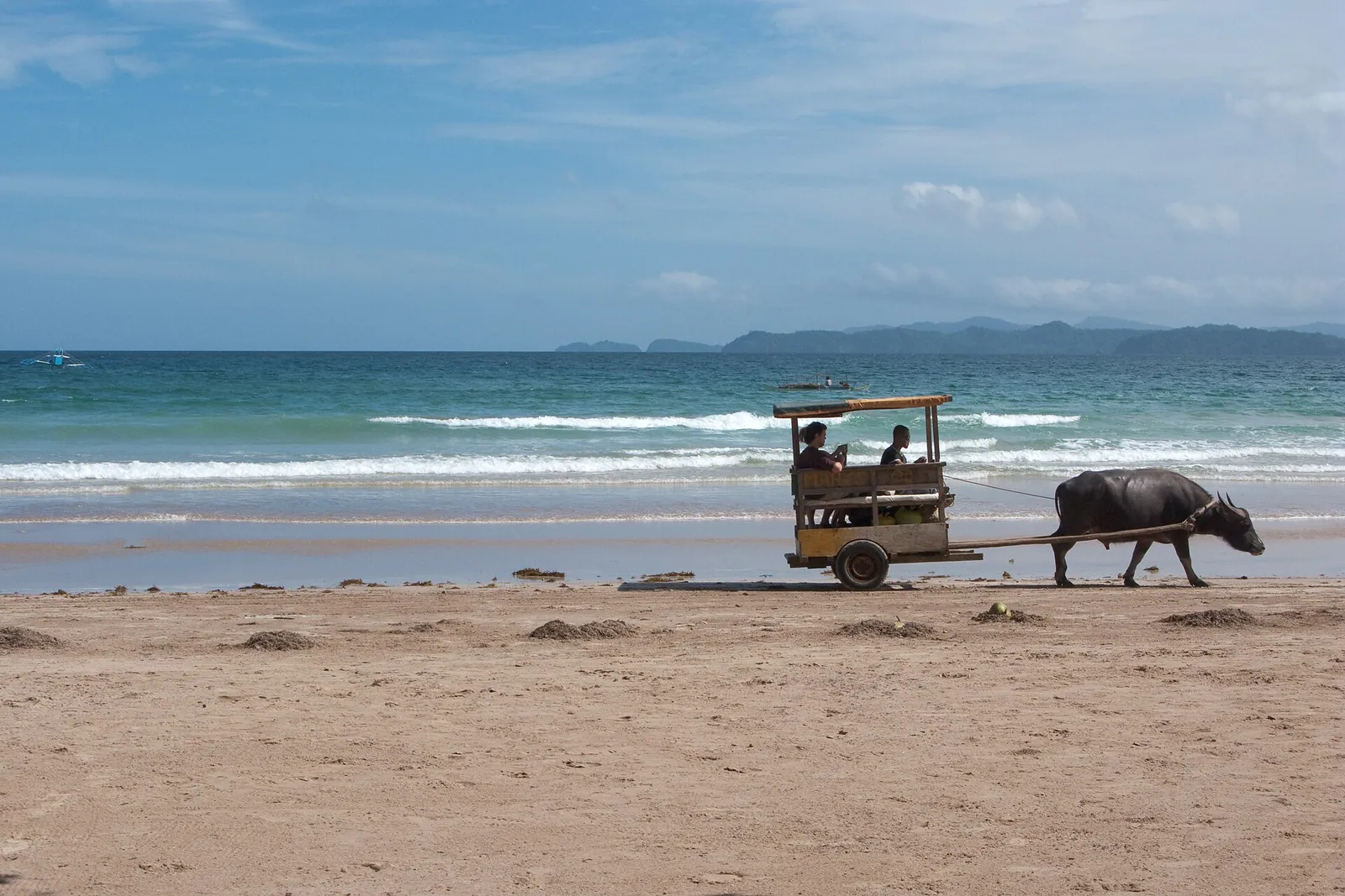 Buffalo-drawn cart on Sabang beach, Palawan