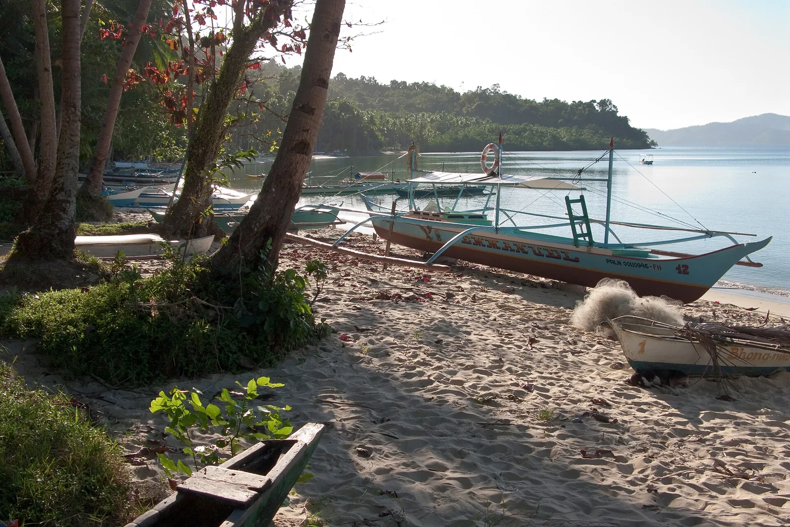 A banca boat and palm-lined sand on the San Vicente coast