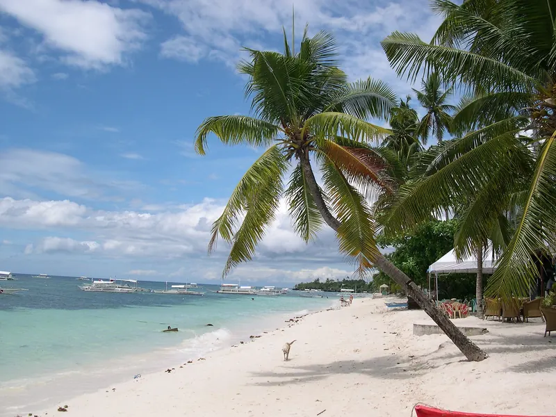 Palm trees leaning over white sand and turquoise water at Alona Beach on Panglao