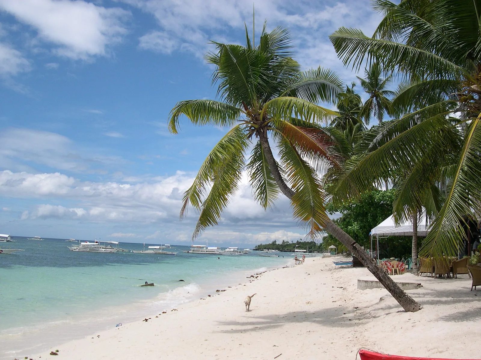 Palm trees leaning over white sand and turquoise water at Alona Beach on Panglao