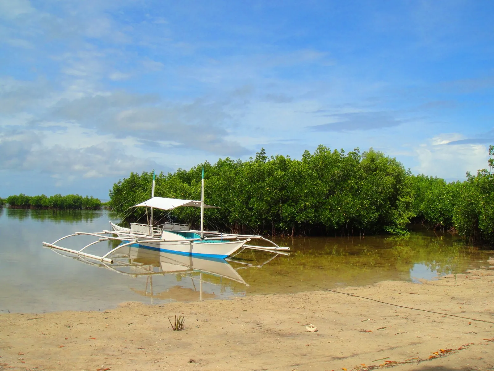 Small outrigger boat beside mangroves and shallow water on Panglao