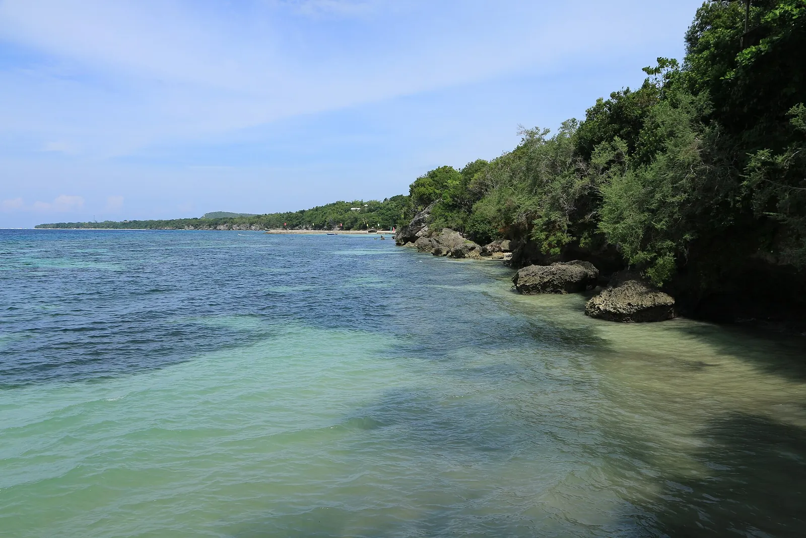 Green coastal water and a wooded rocky shoreline viewed from Bohol Bee Farm on Panglao