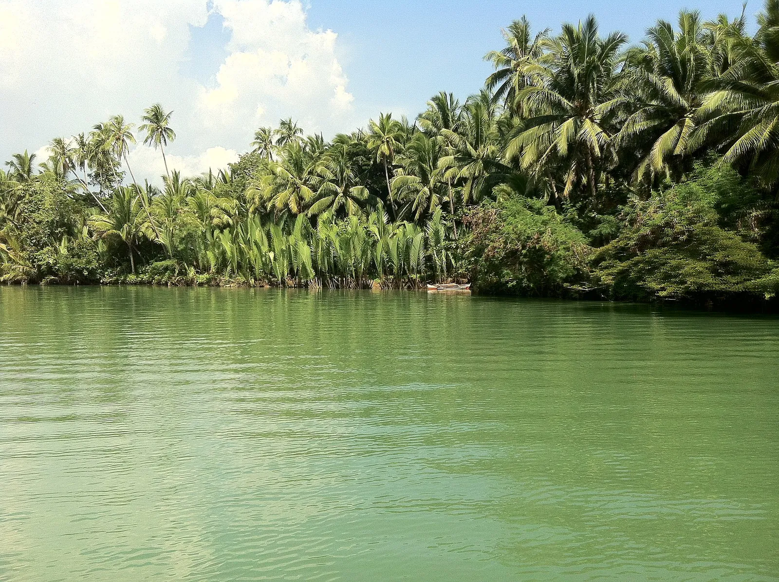 Palm-lined Loboc River in Bohol
