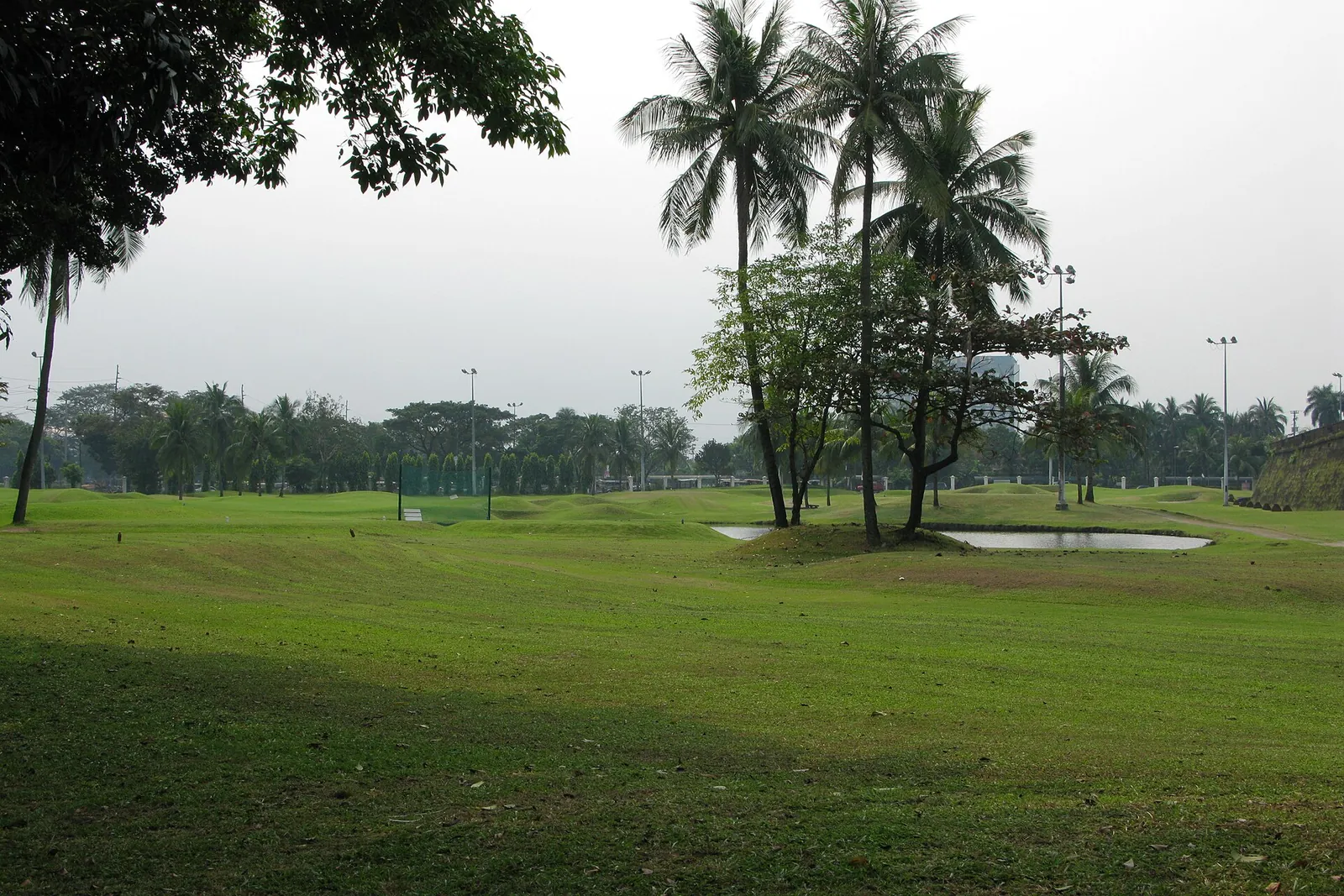 Open lawn and palms in Rizal Park, Manila