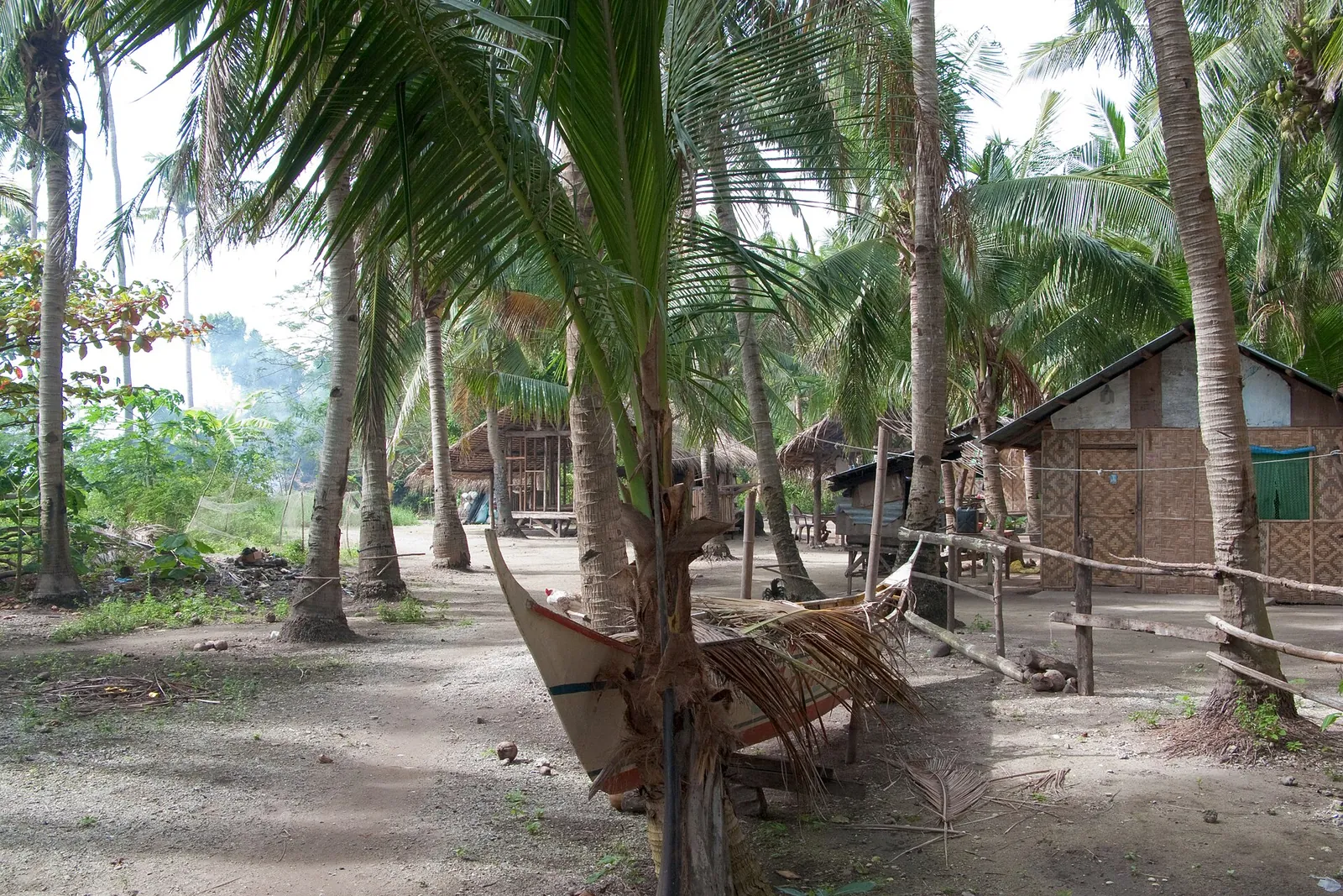 Palm-shaded village and wooden boat on Malapascua
