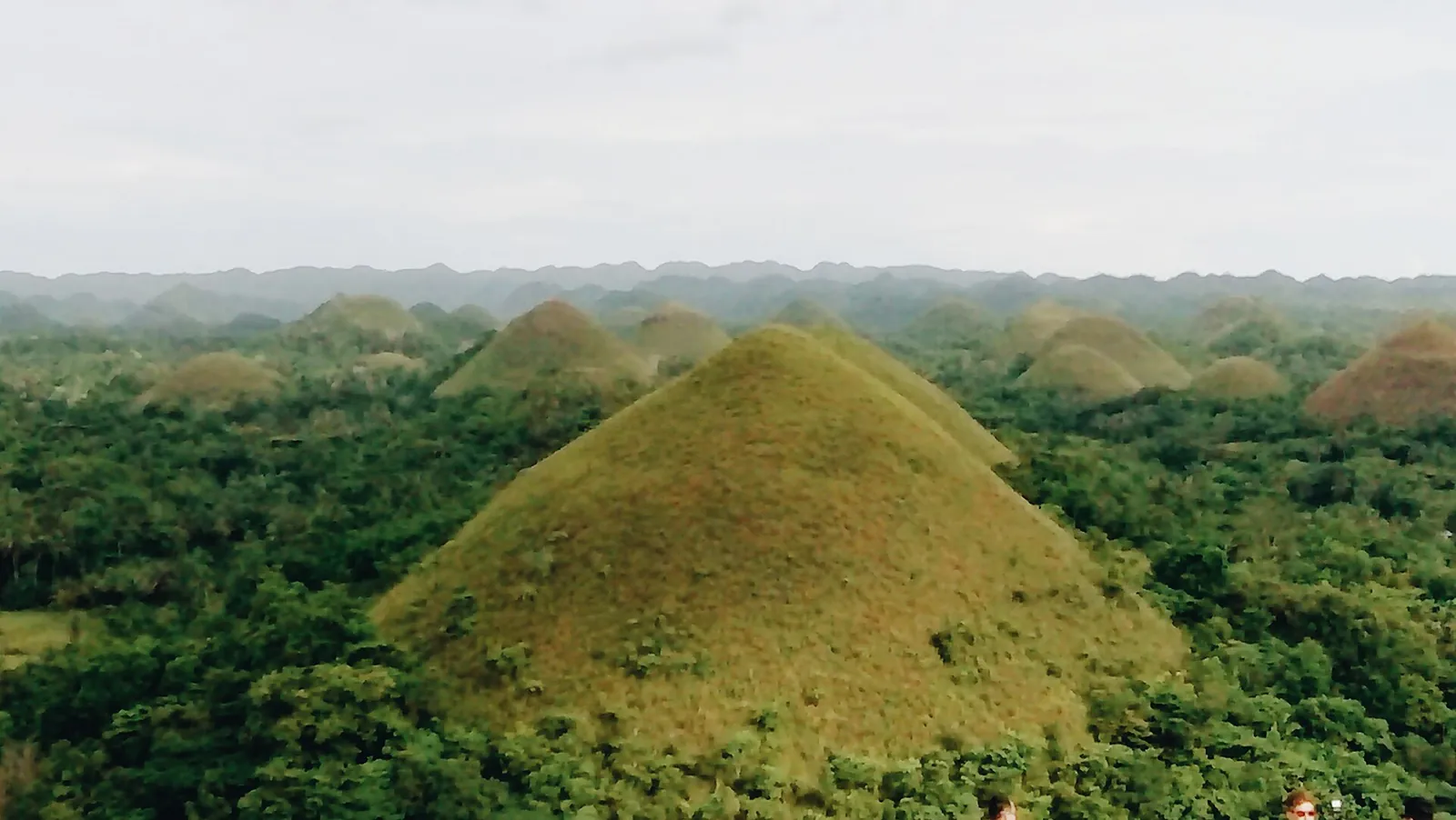 Green Chocolate Hills in Carmen, Bohol