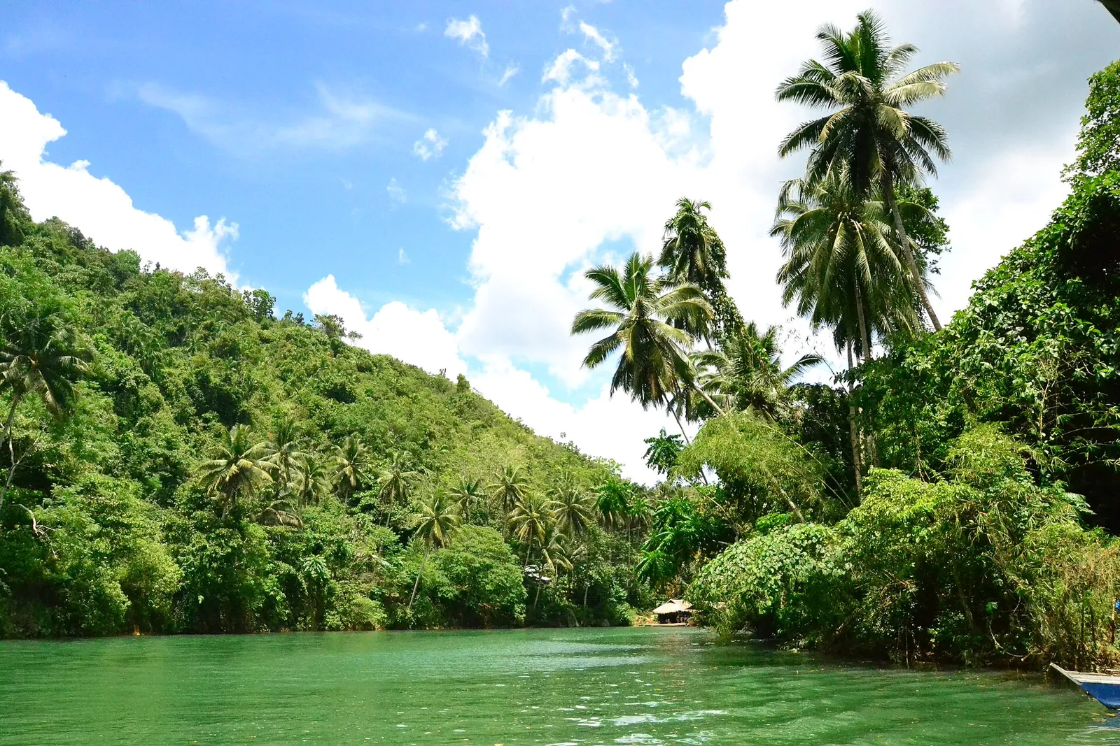 Green water of the Loboc River between palm-covered banks