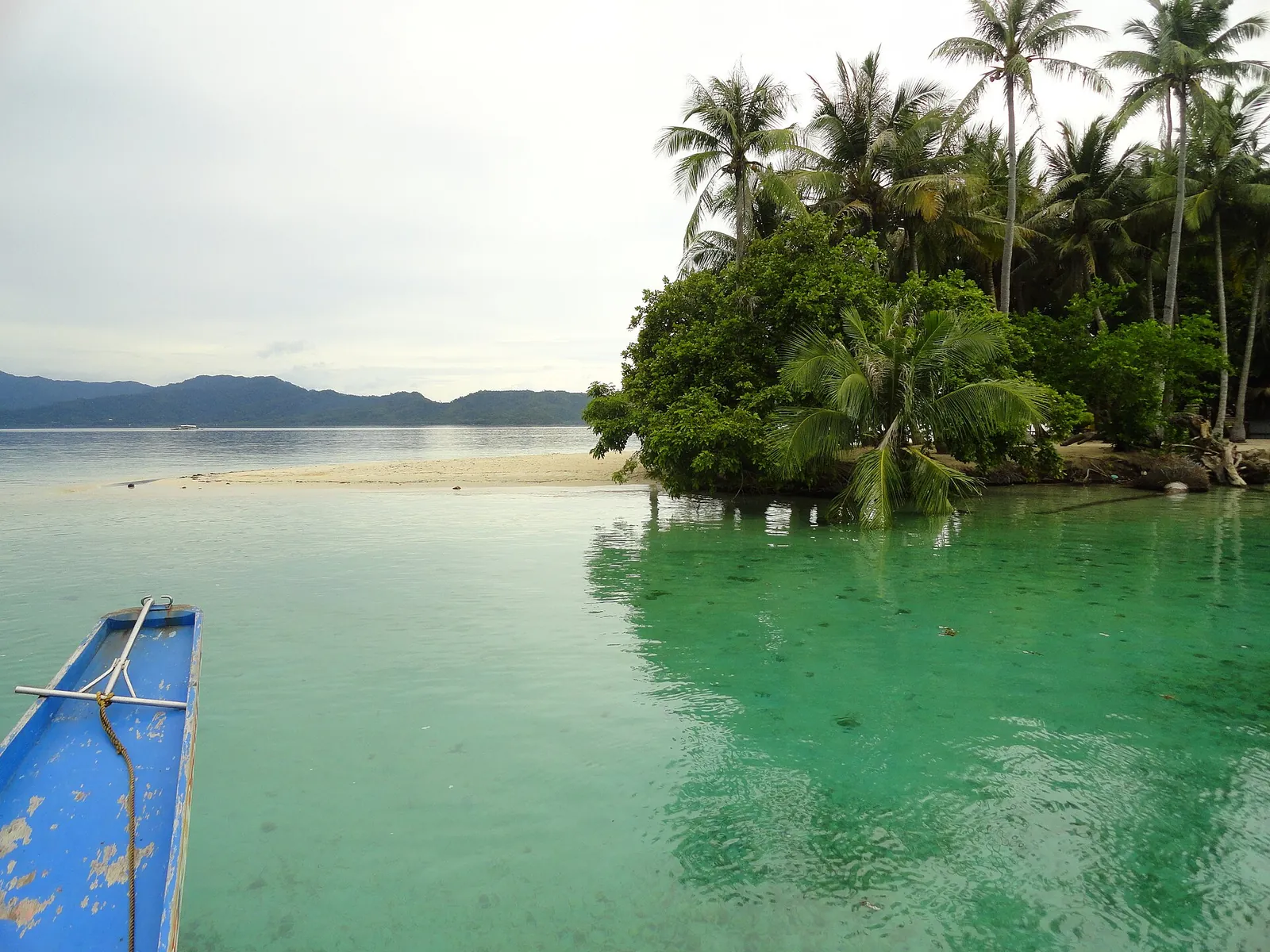 Clear green water and palms around German Island near Port Barton