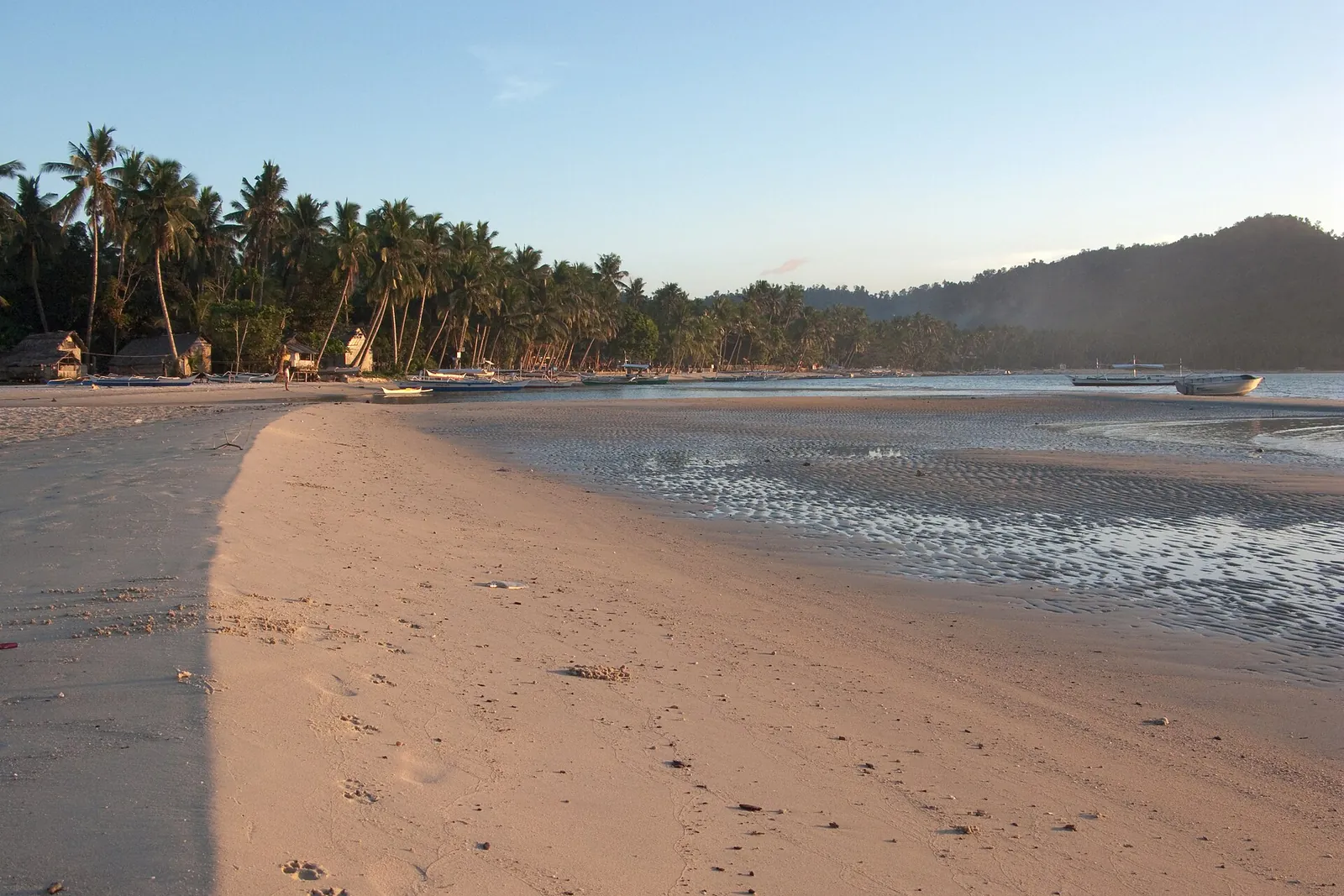 Palm-lined sand and a narrow tidal channel along Port Barton Beach