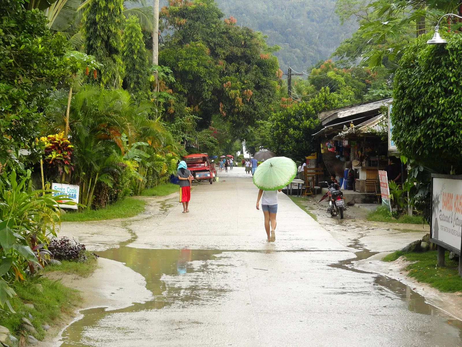 A village road with tropical greenery, puddles and a pedestrian in Port Barton