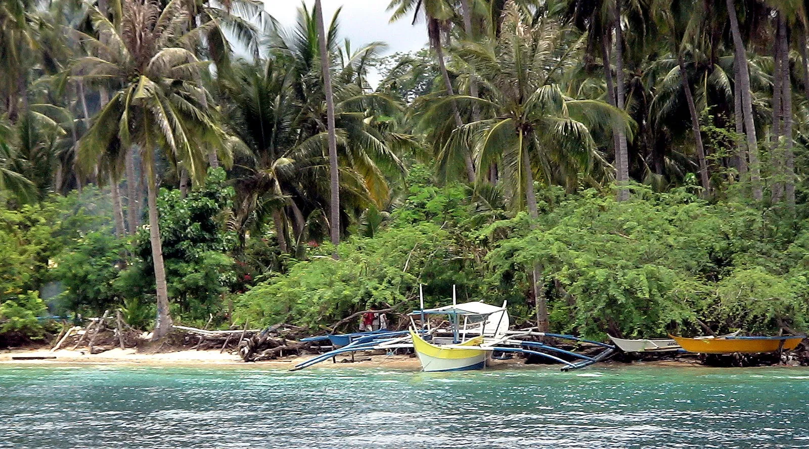 Small boats beside a palm-lined shoreline at Puerto Galera