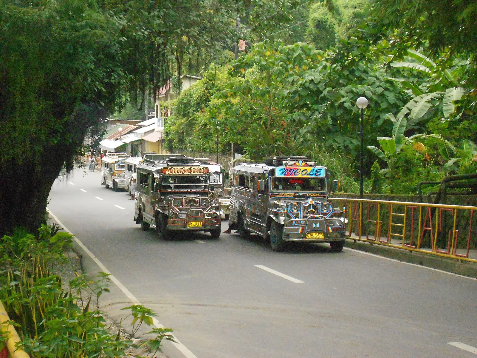 Jeepneys travelling along a tree-lined road in Puerto Galera