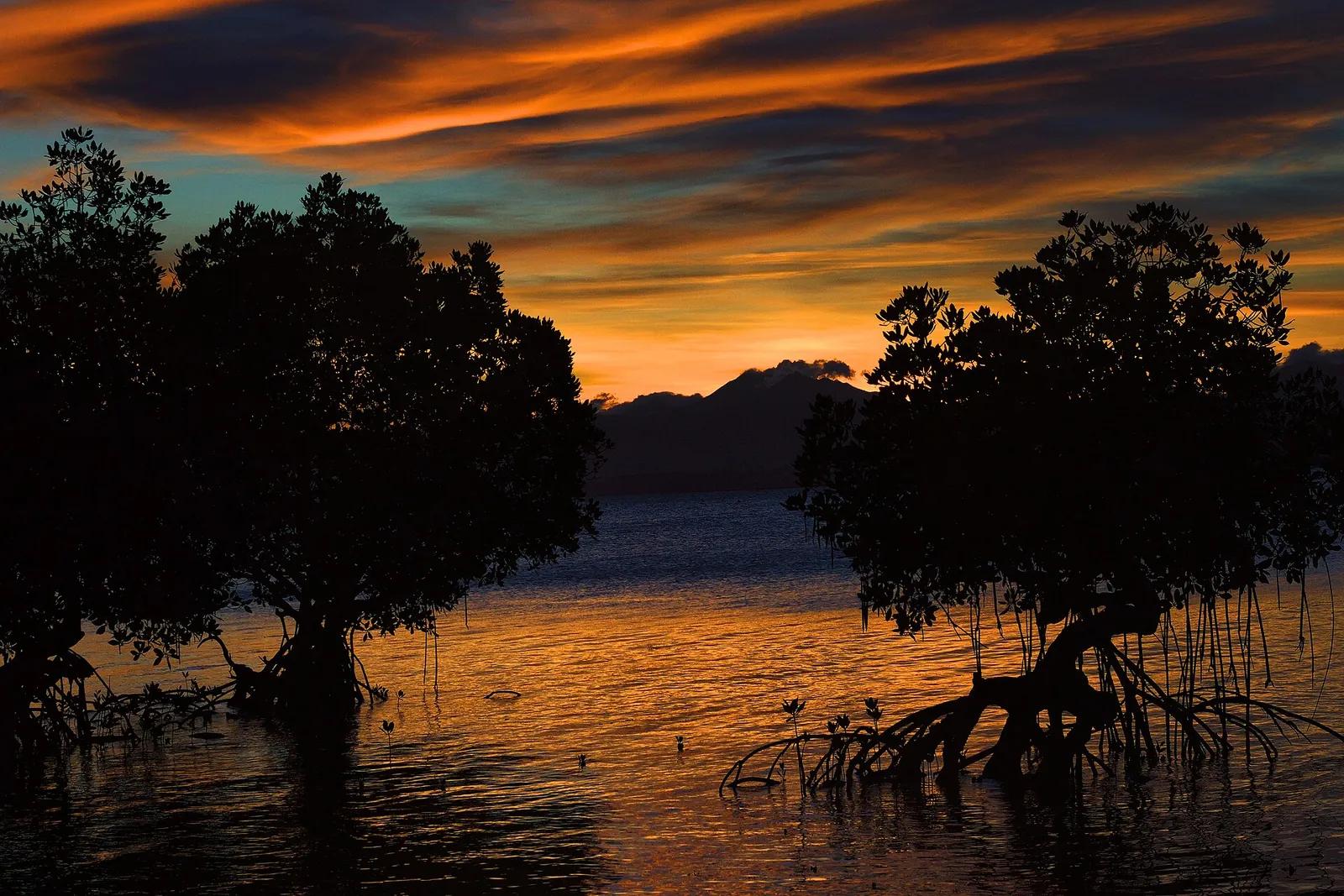 Orange sunset over mangrove silhouettes viewed from Arreceffil Island in Honda Bay