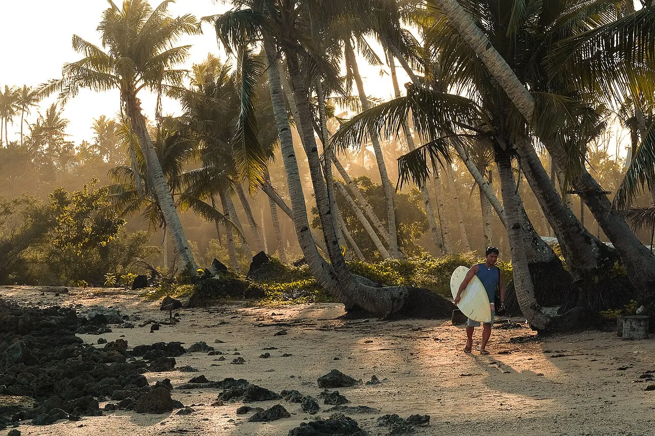 Palm-lined shore on Siargao