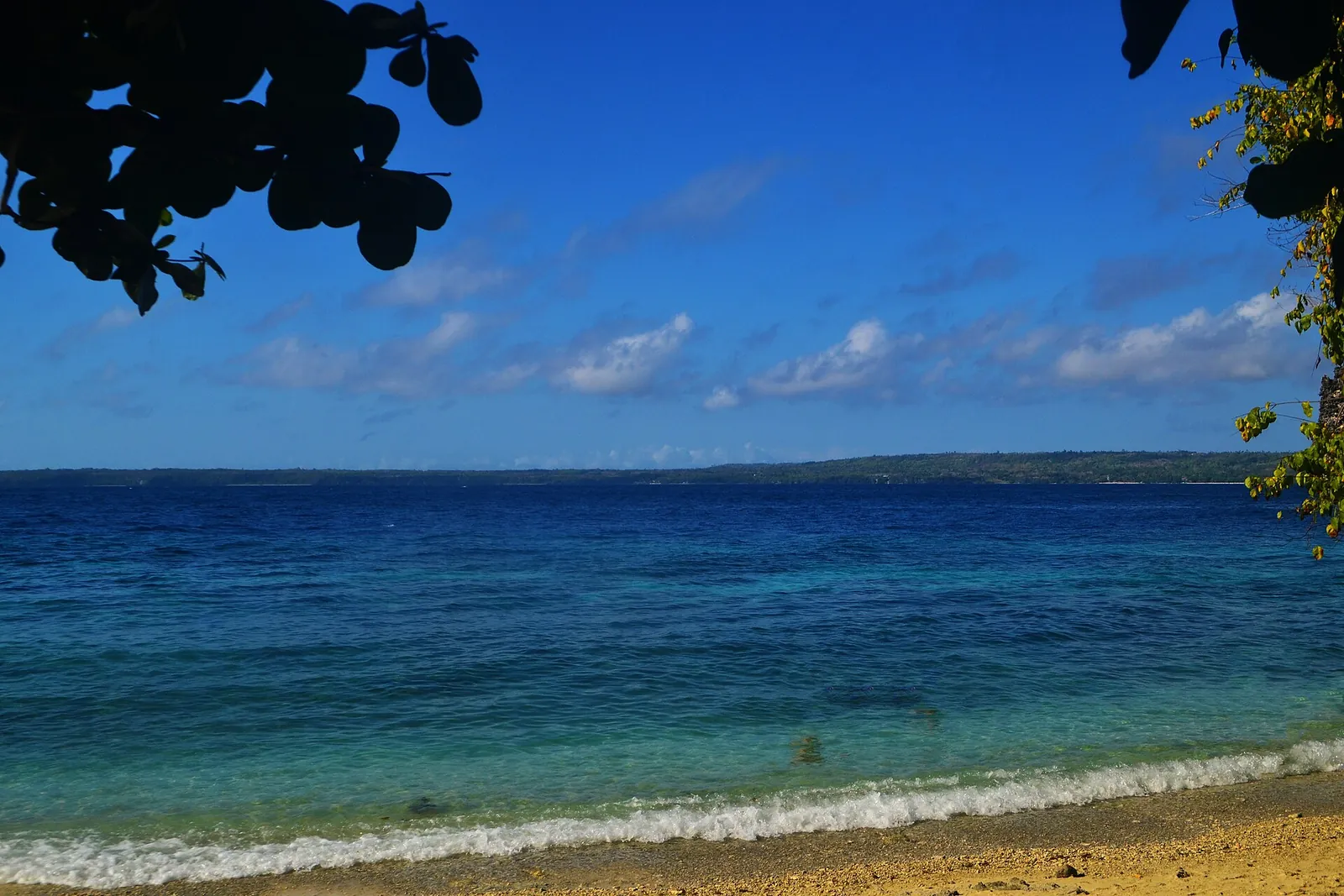Blue sea and a narrow shore beneath leafy branches at Salagdoong Beach on Siquijor