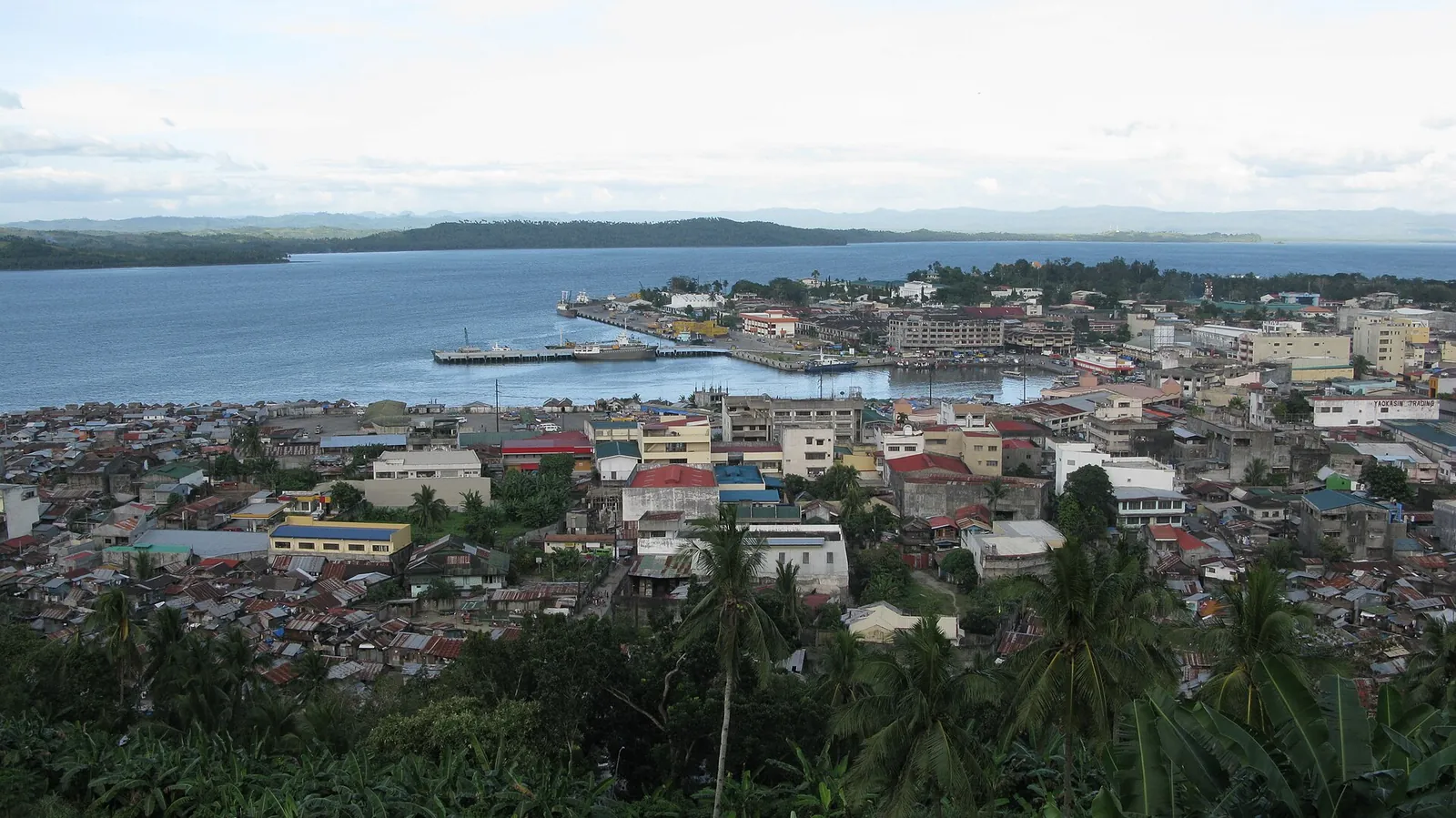 Tacloban city and bay