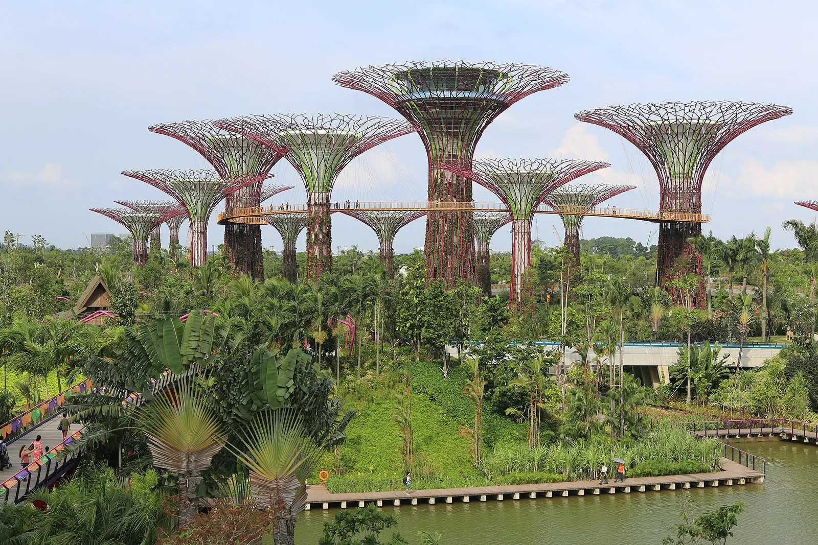 Supertree Grove nad obsadzonymi ogrodami Gardens by the Bay w Singapurze