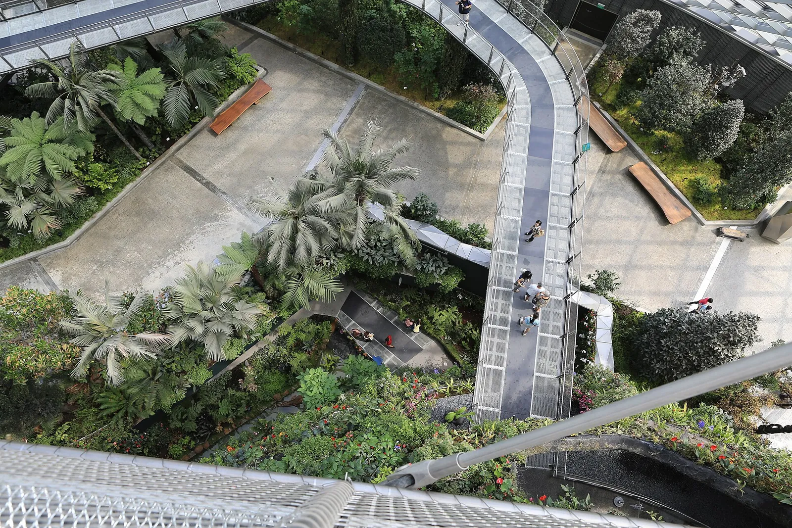 Wyniesione zakrzywione chodniki i obsadzone zbocza wewnątrz Cloud Forest w Singapurze