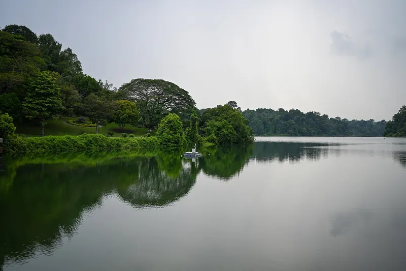 Wasser des MacRitchie Reservoir spiegelt grüne Bäume