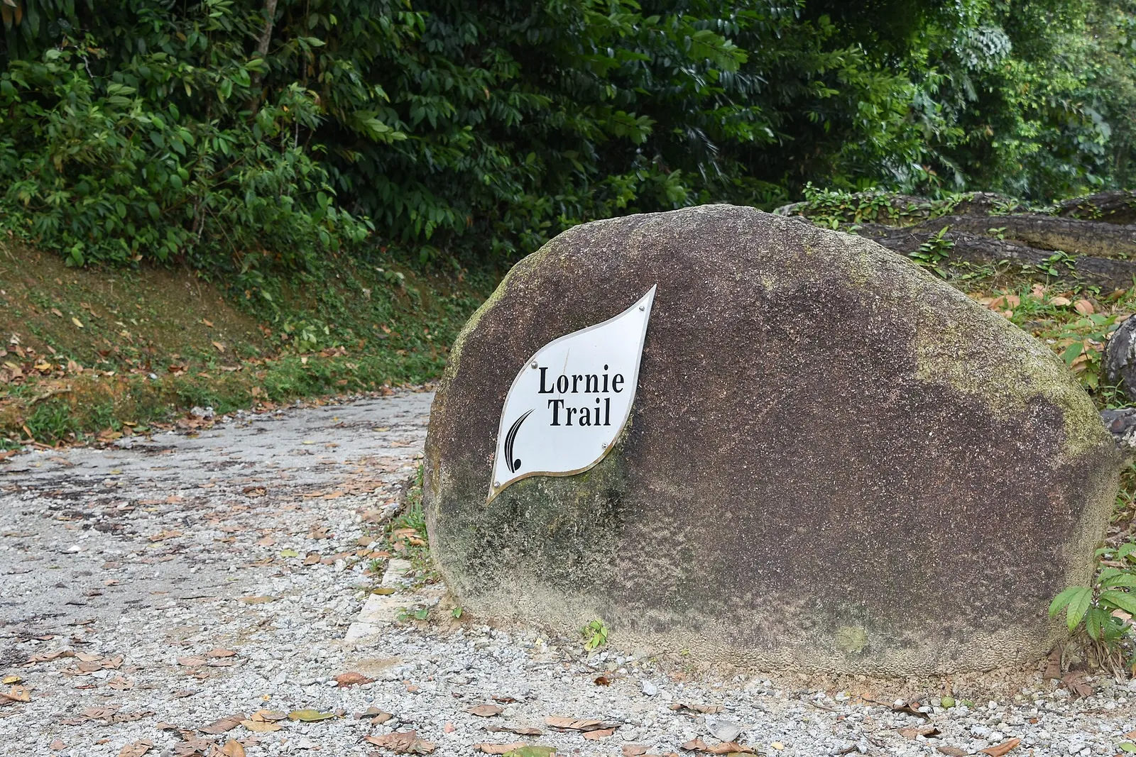 Reper de piatră Lornie Trail lângă o cărare prin pădure