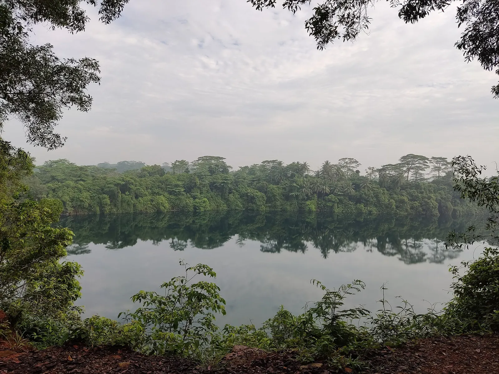 Klidné lomové jezero mezi stromy na Pulau Ubin