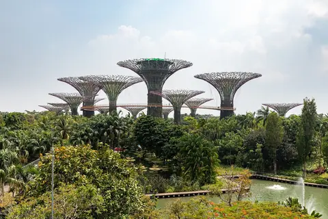 Supertree Grove sopra le aree piantumate di Gardens by the Bay