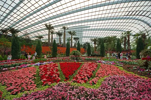Aiuole di fiori rosa e rossi sotto il tetto di vetro di Flower Dome