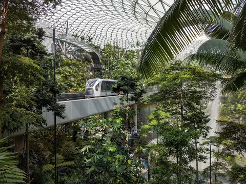 Skytrain Changi projíždí zelení pod skleněnou střechou Jewel